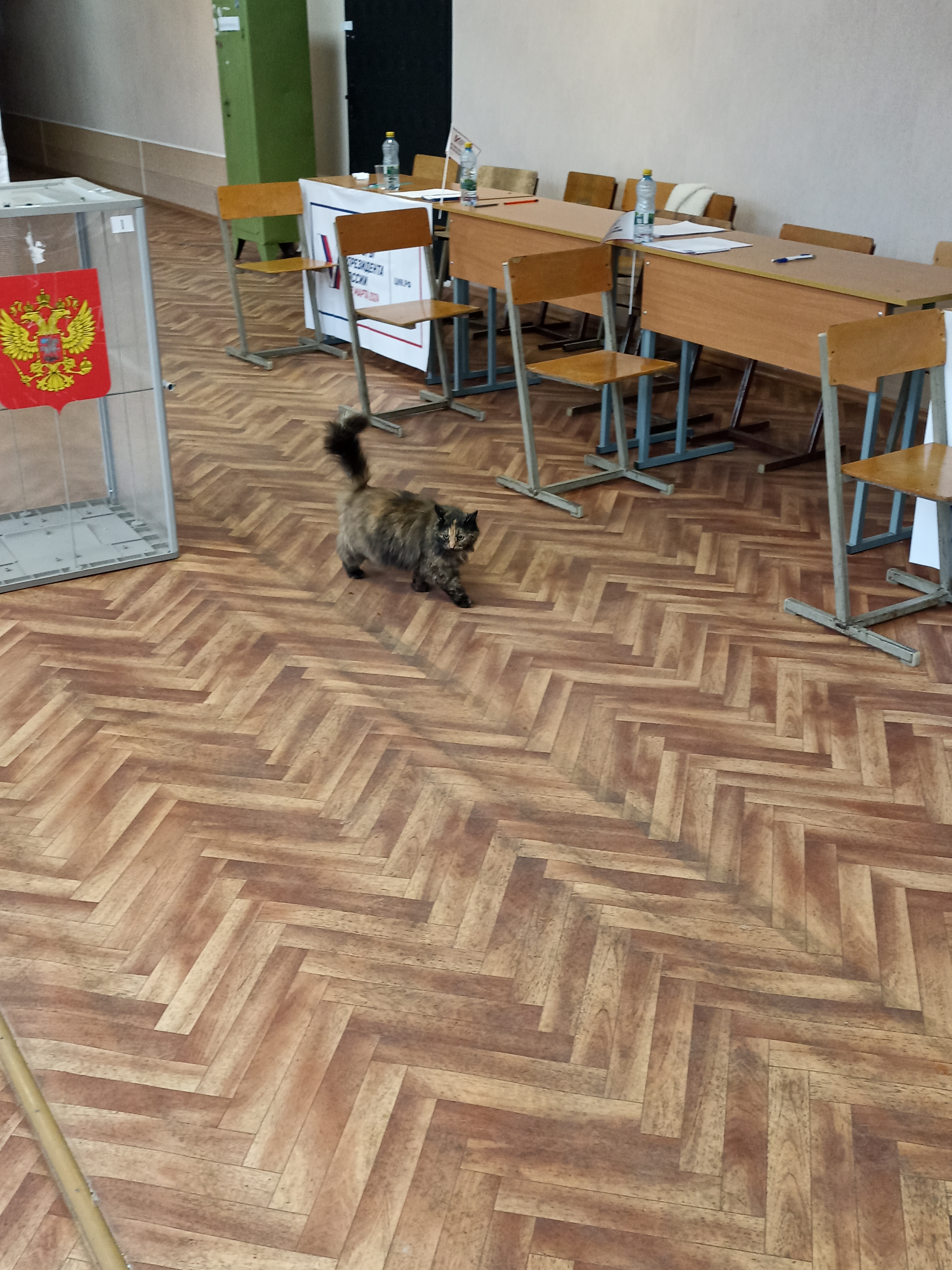 Сообщение наблюдателя — УИК №755, Смоленская область