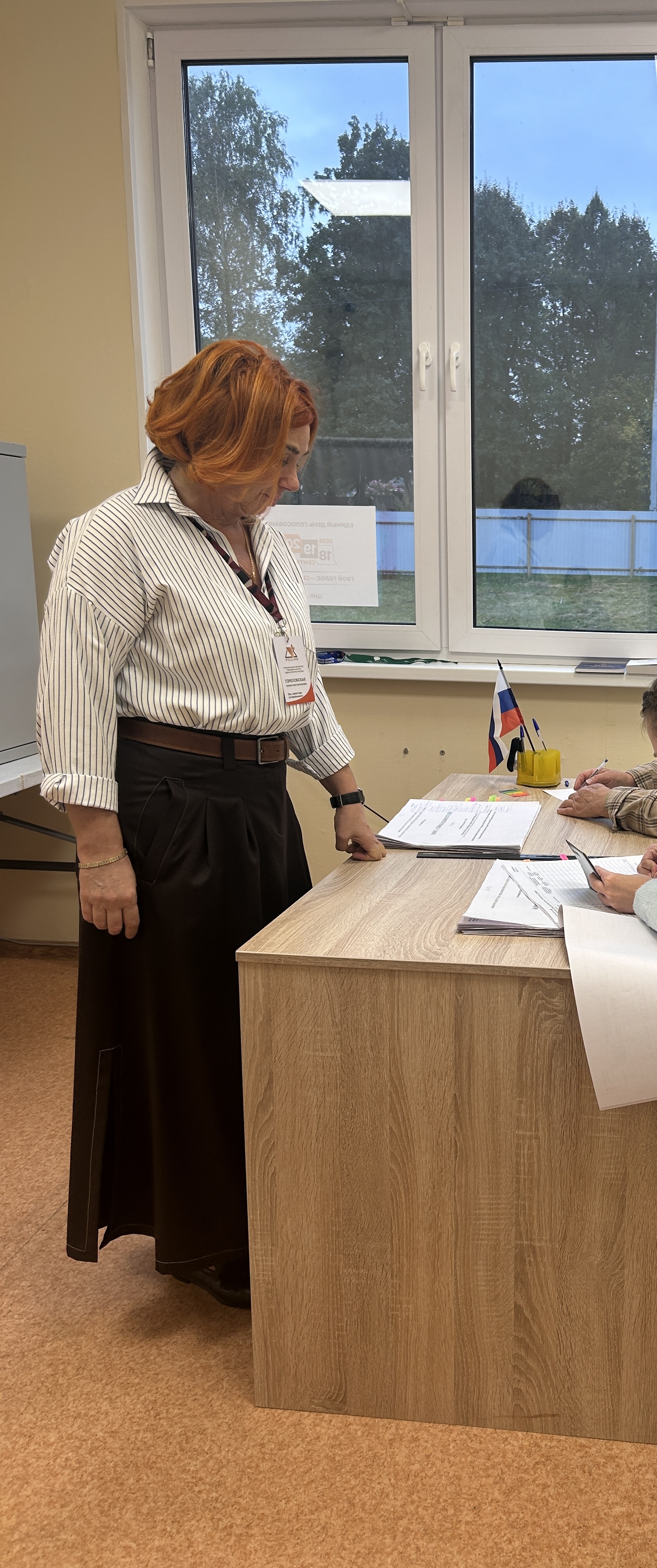 Сообщение — УИК №2946, Московская область