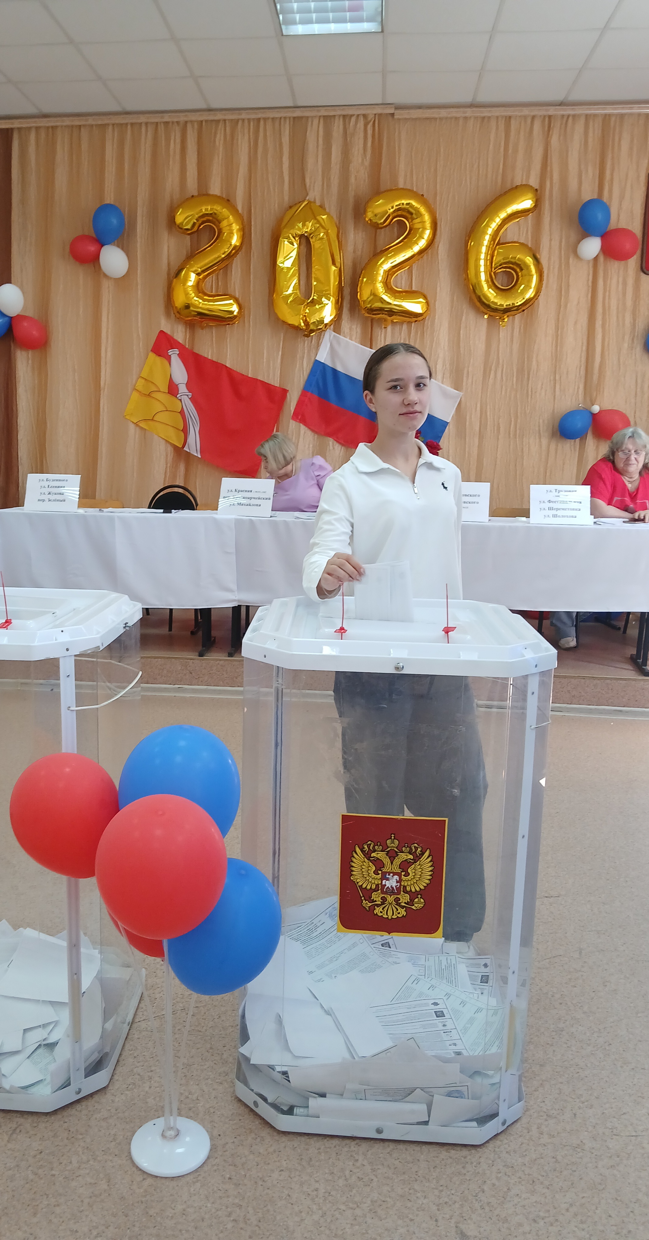 Сообщение — УИК №504, Воронежская область