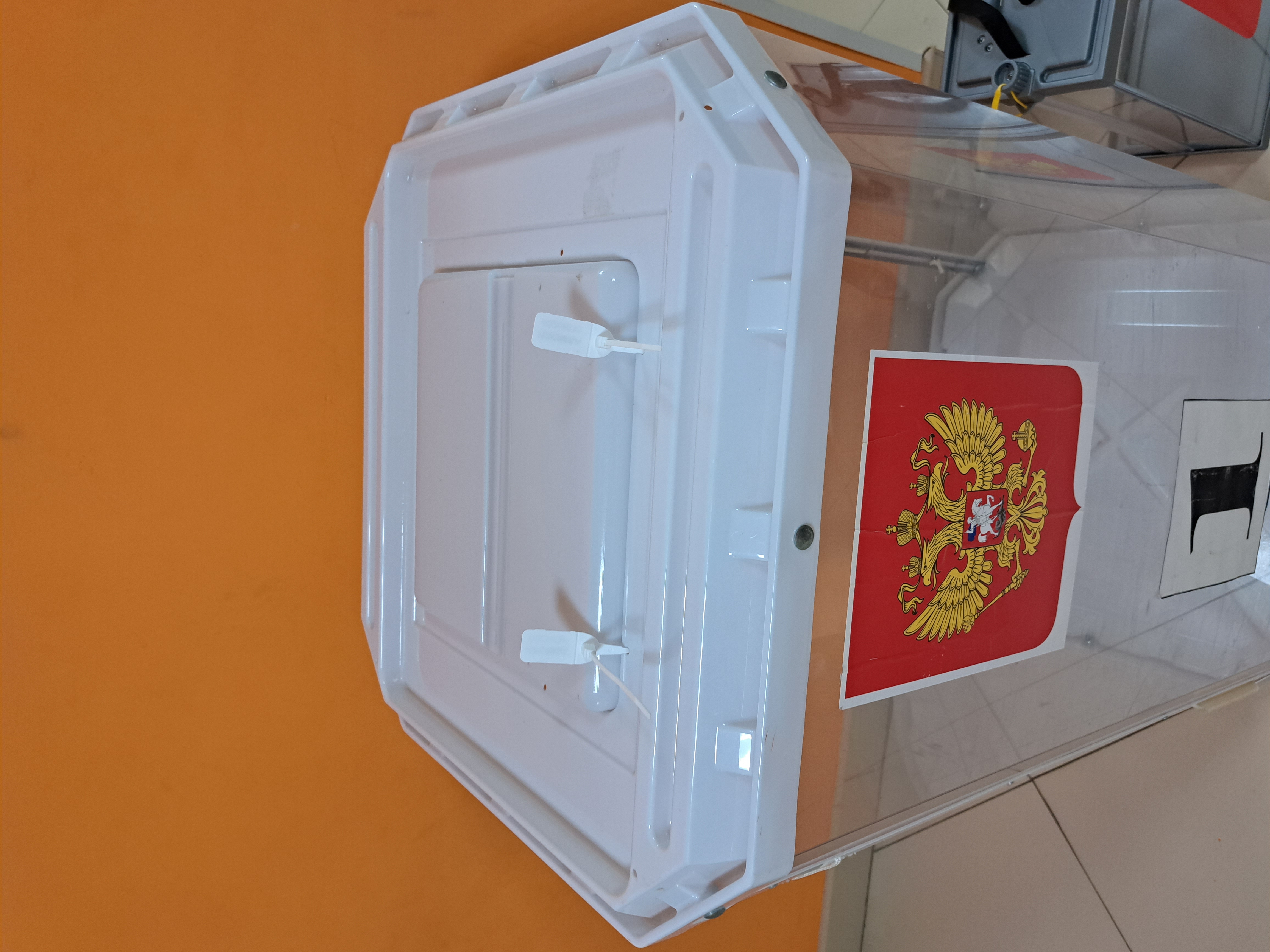 Сообщение наблюдателя — УИК №263, Белгородская область