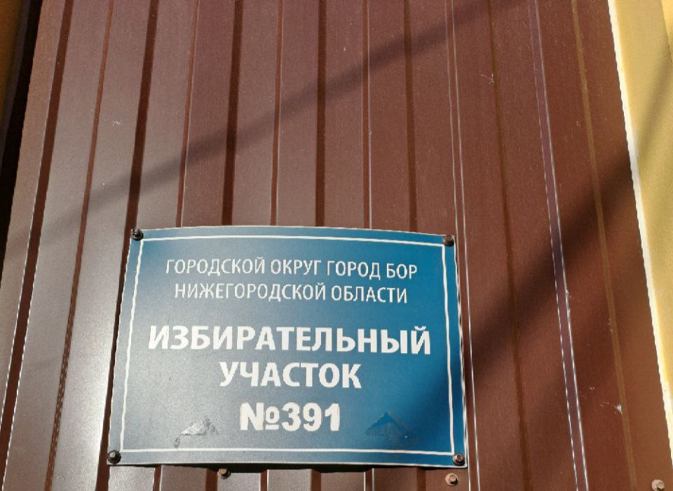 Сообщение наблюдателя — УИК №391, Нижегородская область