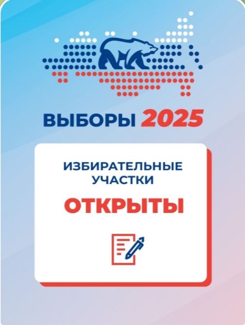 Сообщение наблюдателя — УИК №1228, Нижегородская область