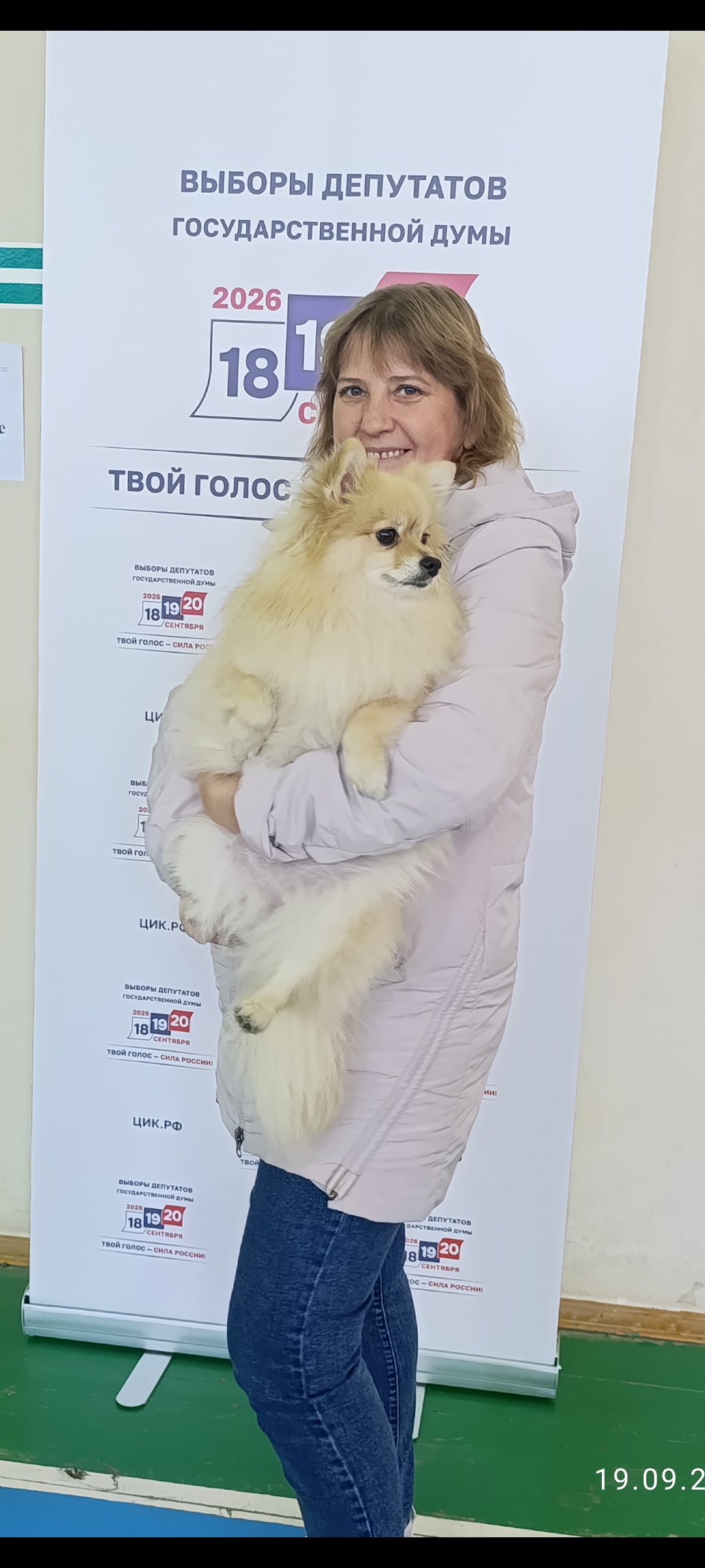 Сообщение — УИК №342, Владимирская область