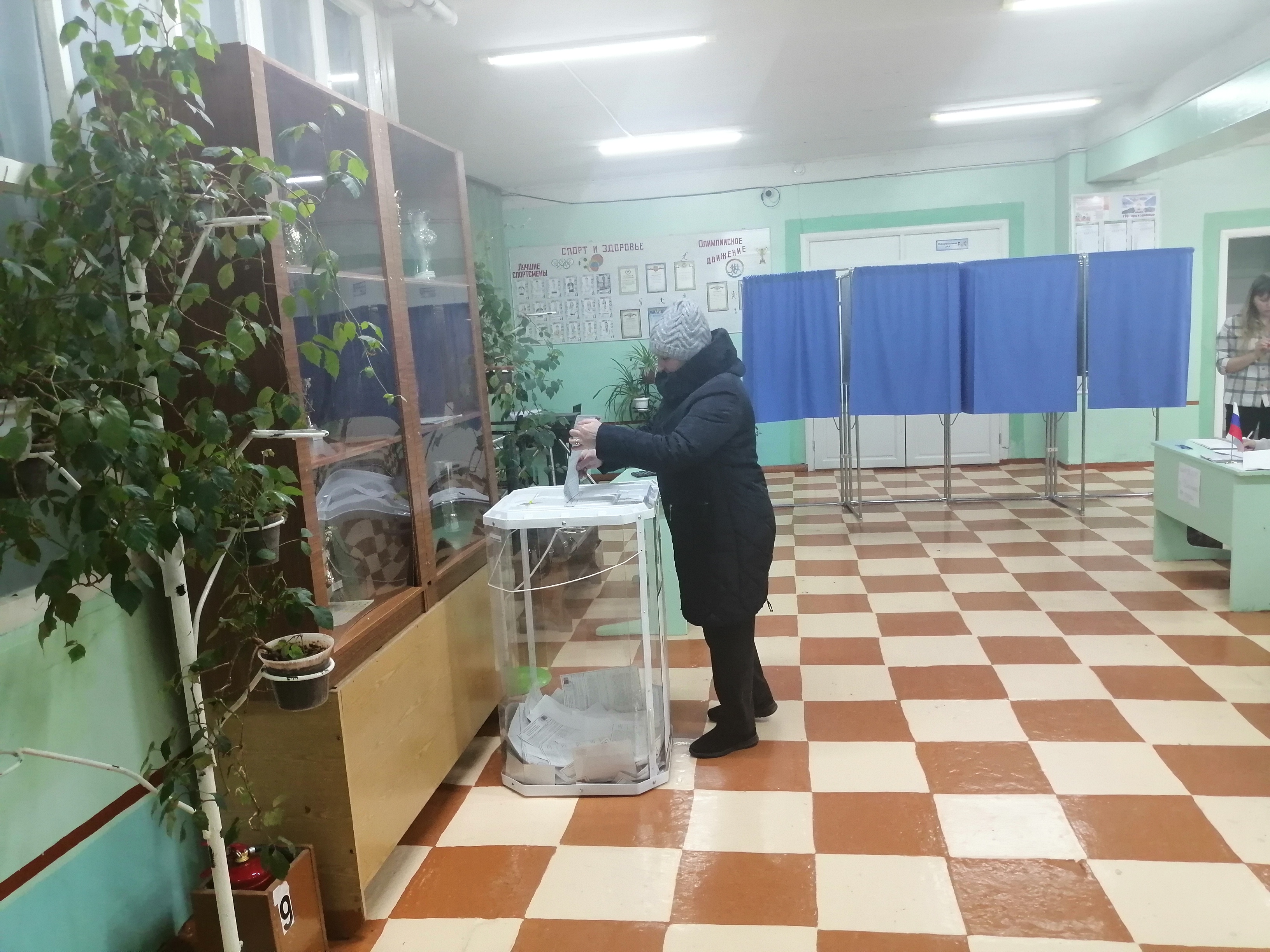 Сообщение наблюдателя — УИК №356, Пензенская область