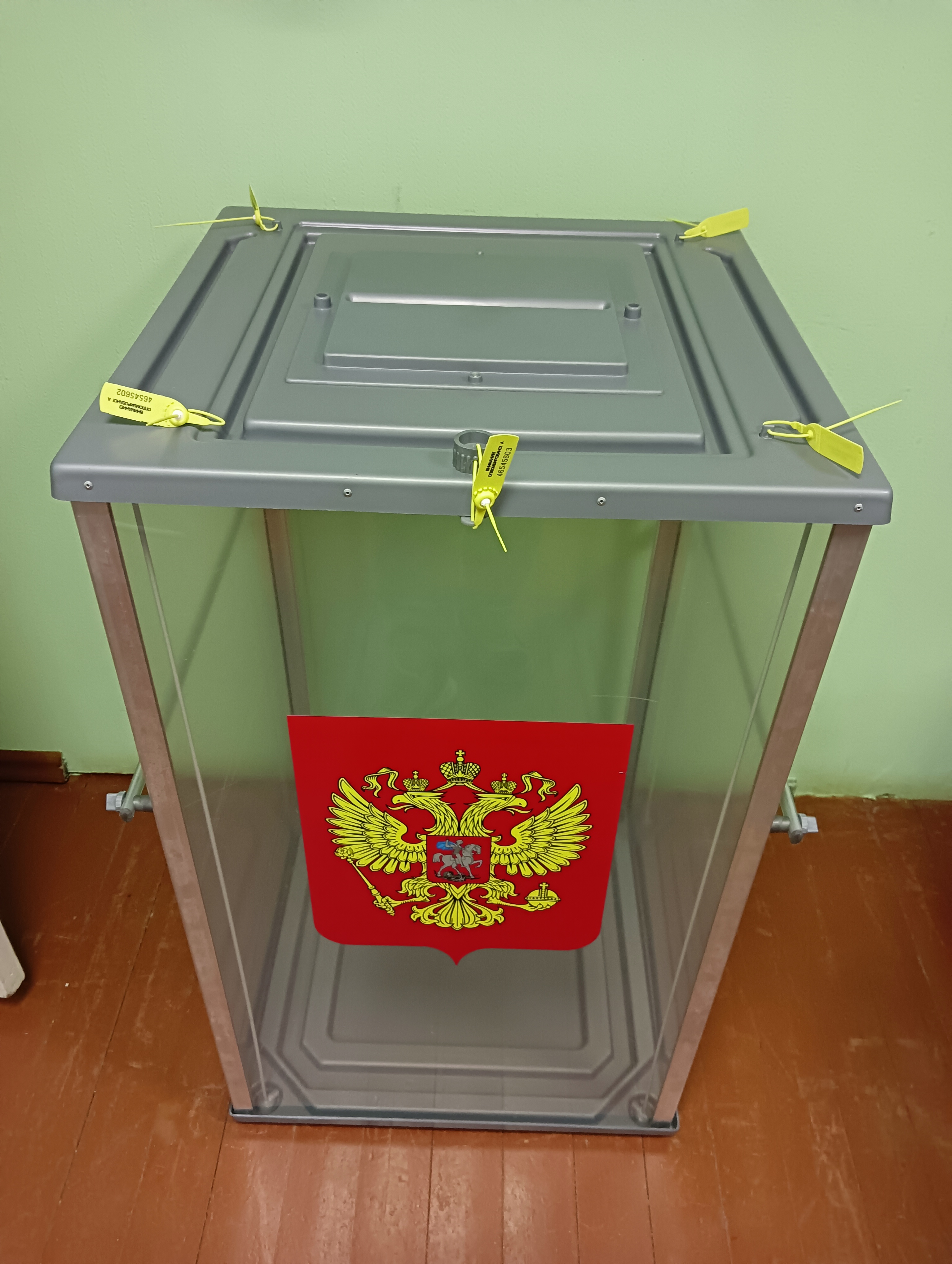Сообщение наблюдателя — УИК №733, Архангельская область