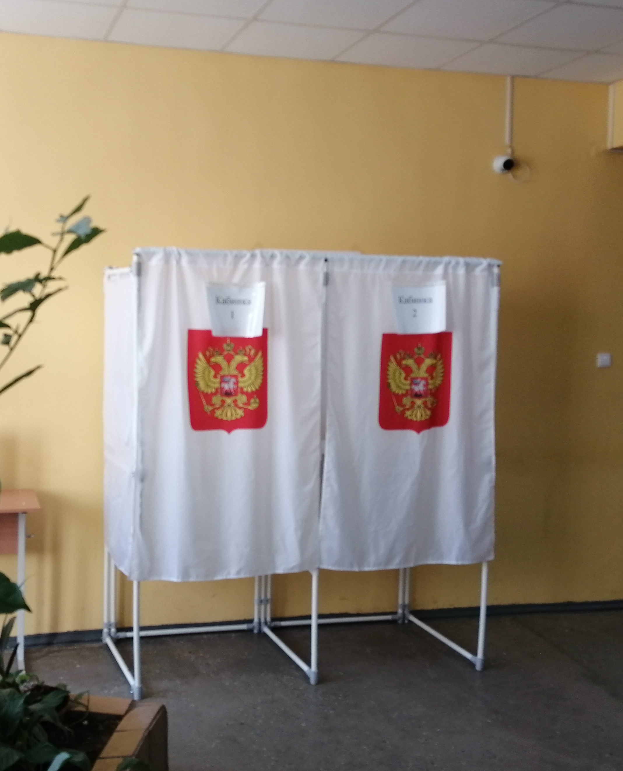 Сообщение наблюдателя — УИК №225, Новгородская область