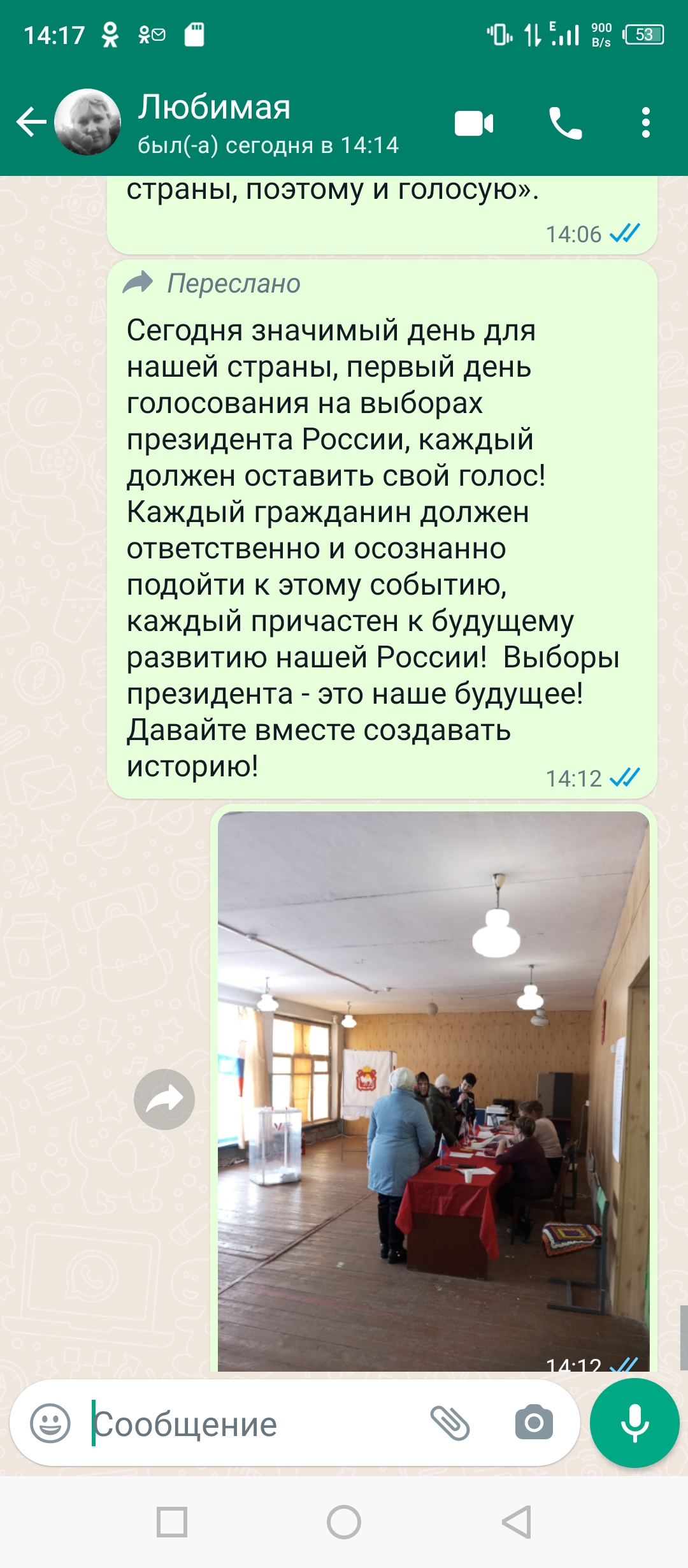 Сообщение наблюдателя — УИК №953, Челябинская область