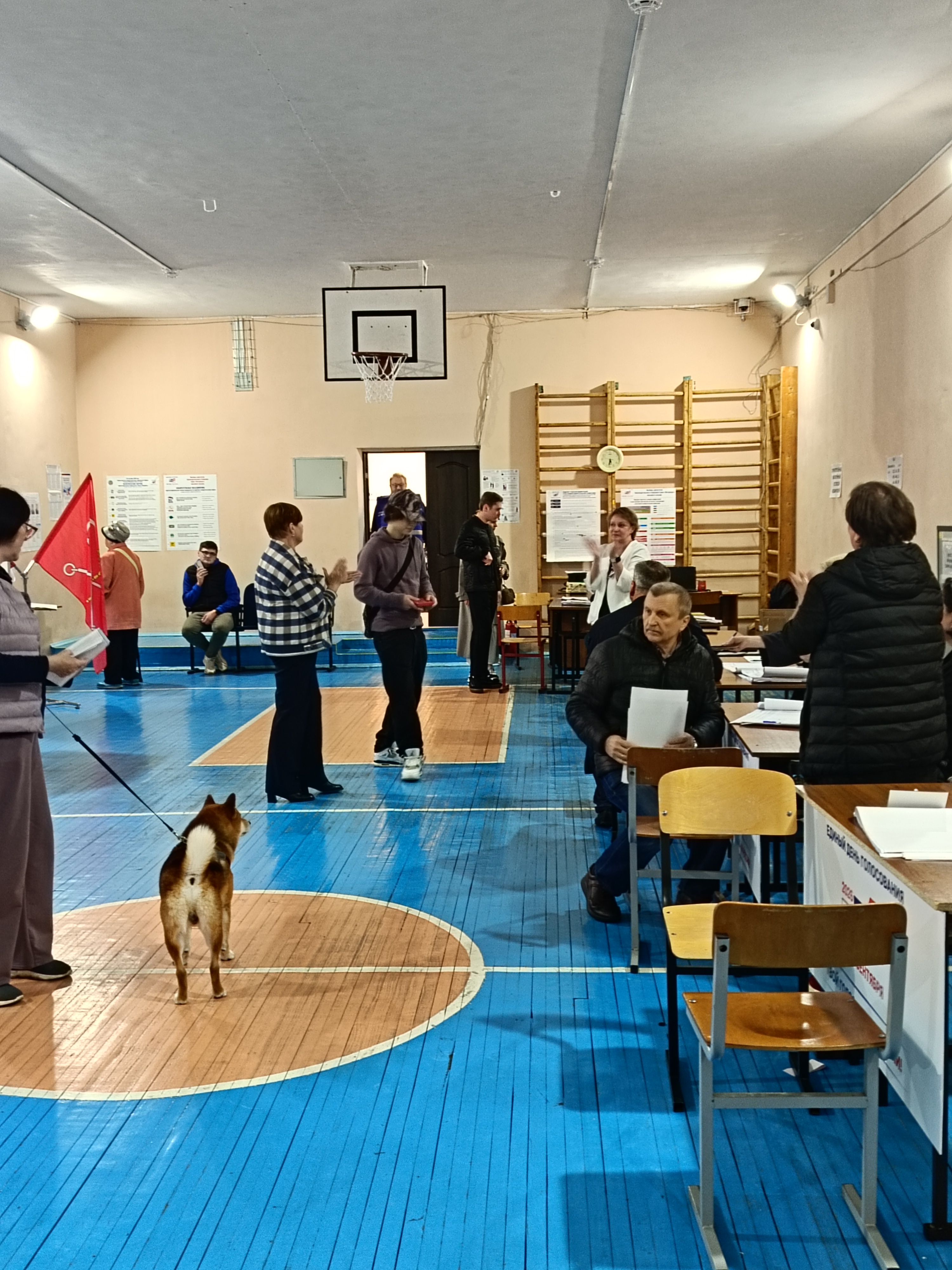 Сообщение — УИК №369, Санкт-Петербург