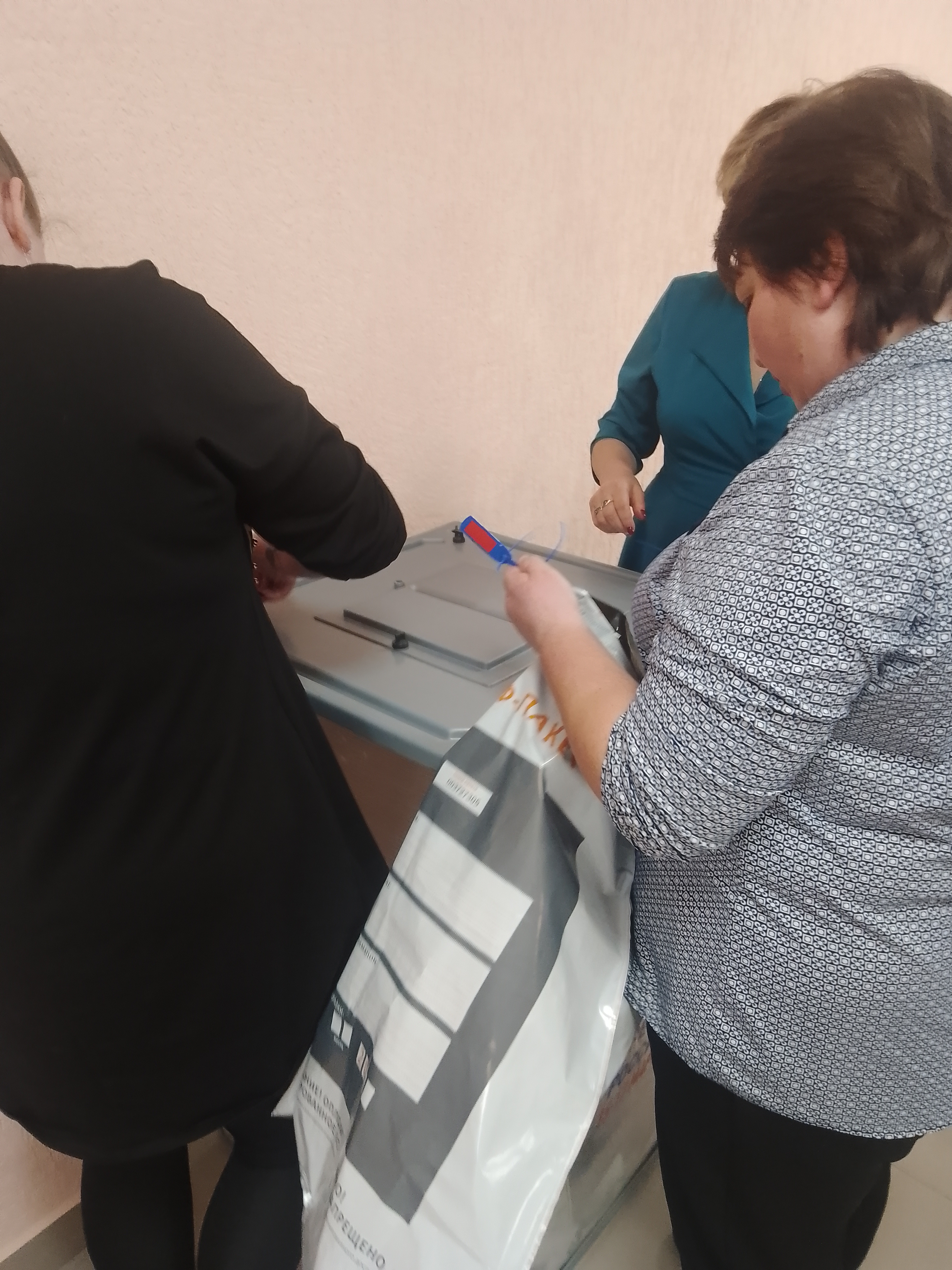 Сообщение наблюдателя — УИК №306, Новгородская область