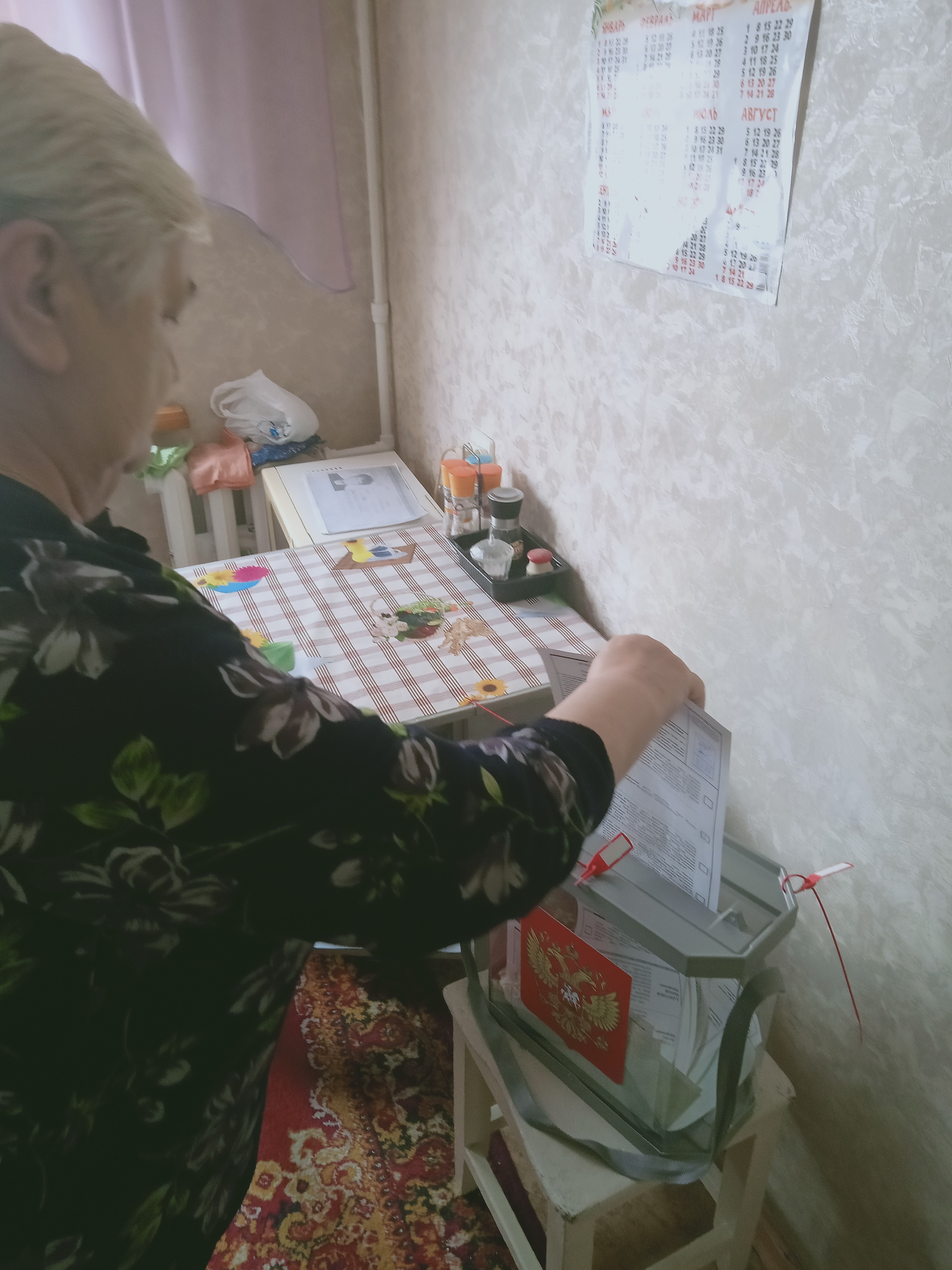 Сообщение наблюдателя — УИК №228, Алтайский край