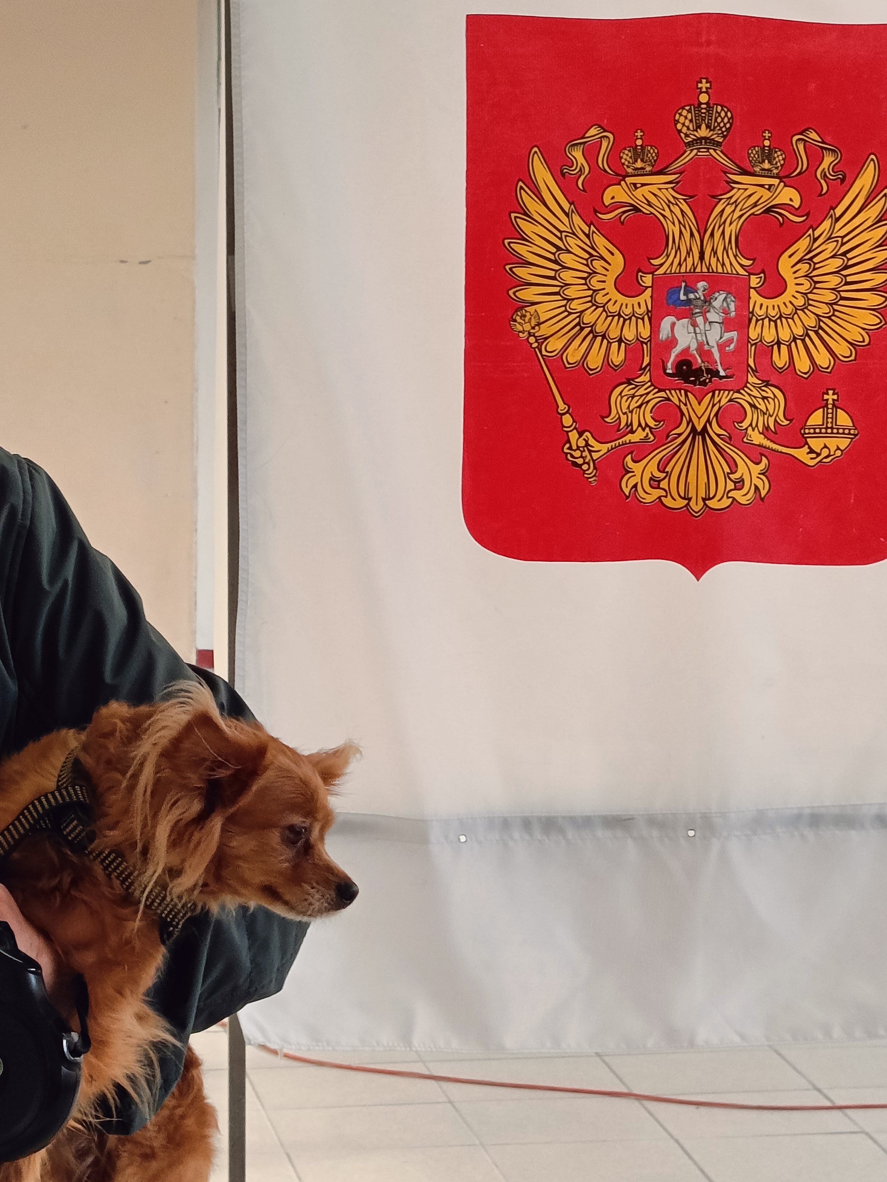 Сообщение — УИК №109, Тульская область