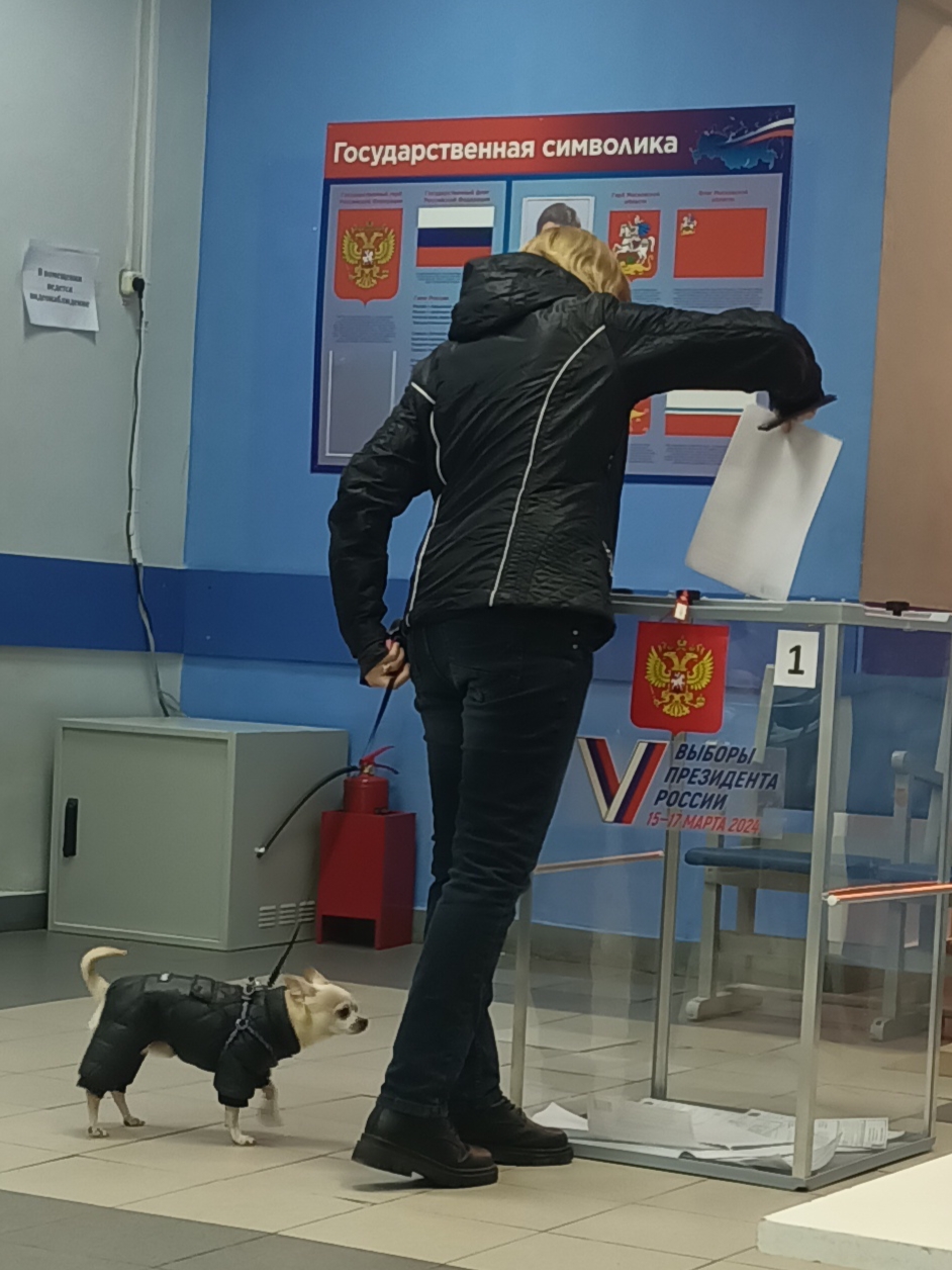 Сообщение наблюдателя — УИК №2156, Московская область