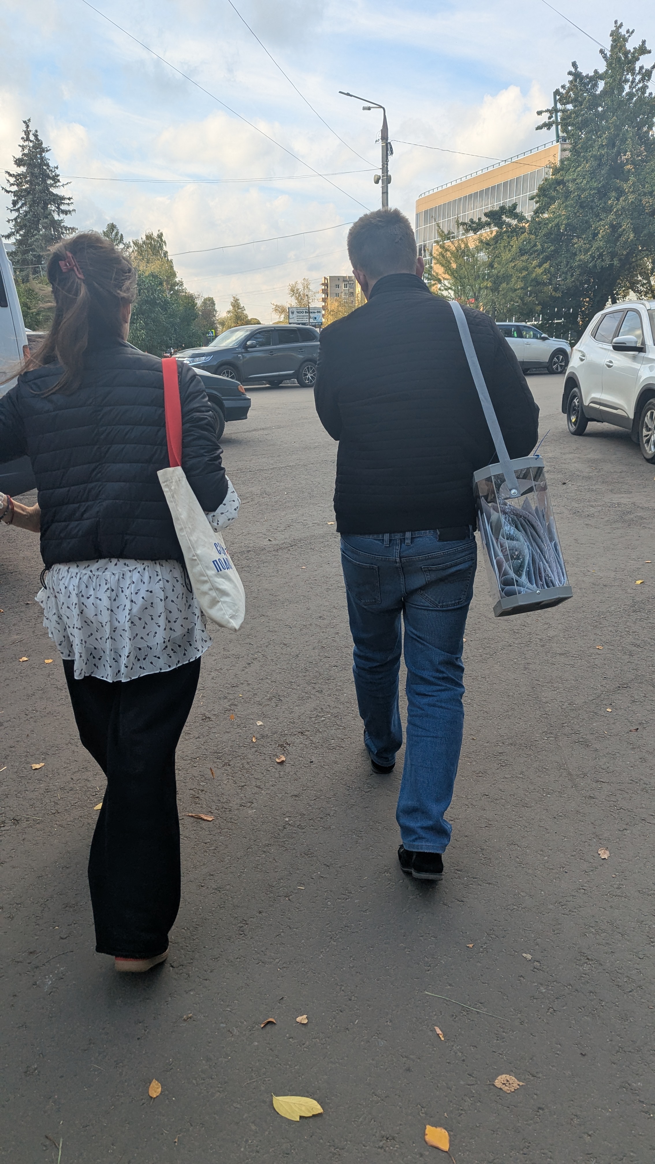 Сообщение — УИК №2455, Московская область