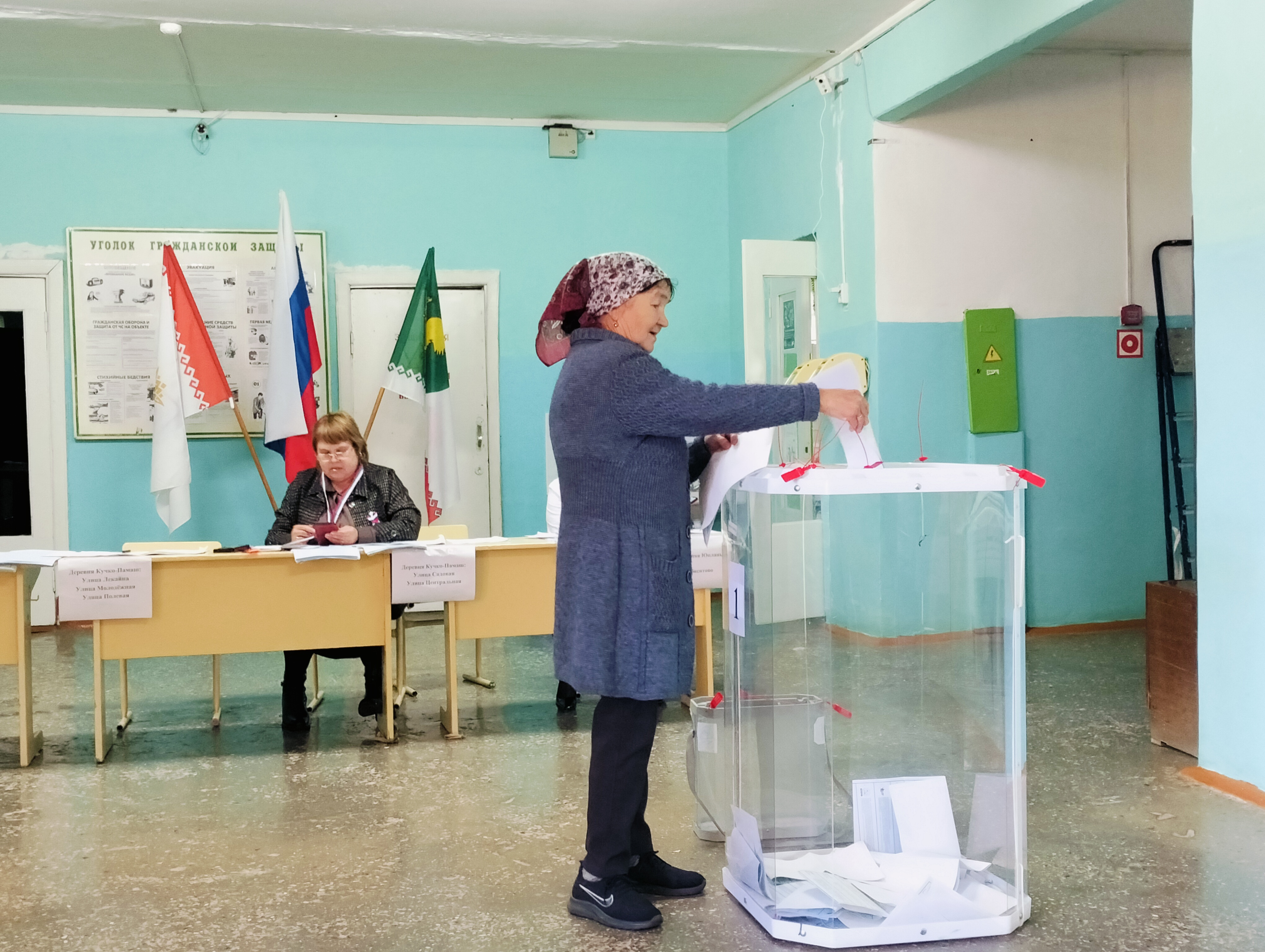 Сообщение — УИК №387, Республика Марий Эл