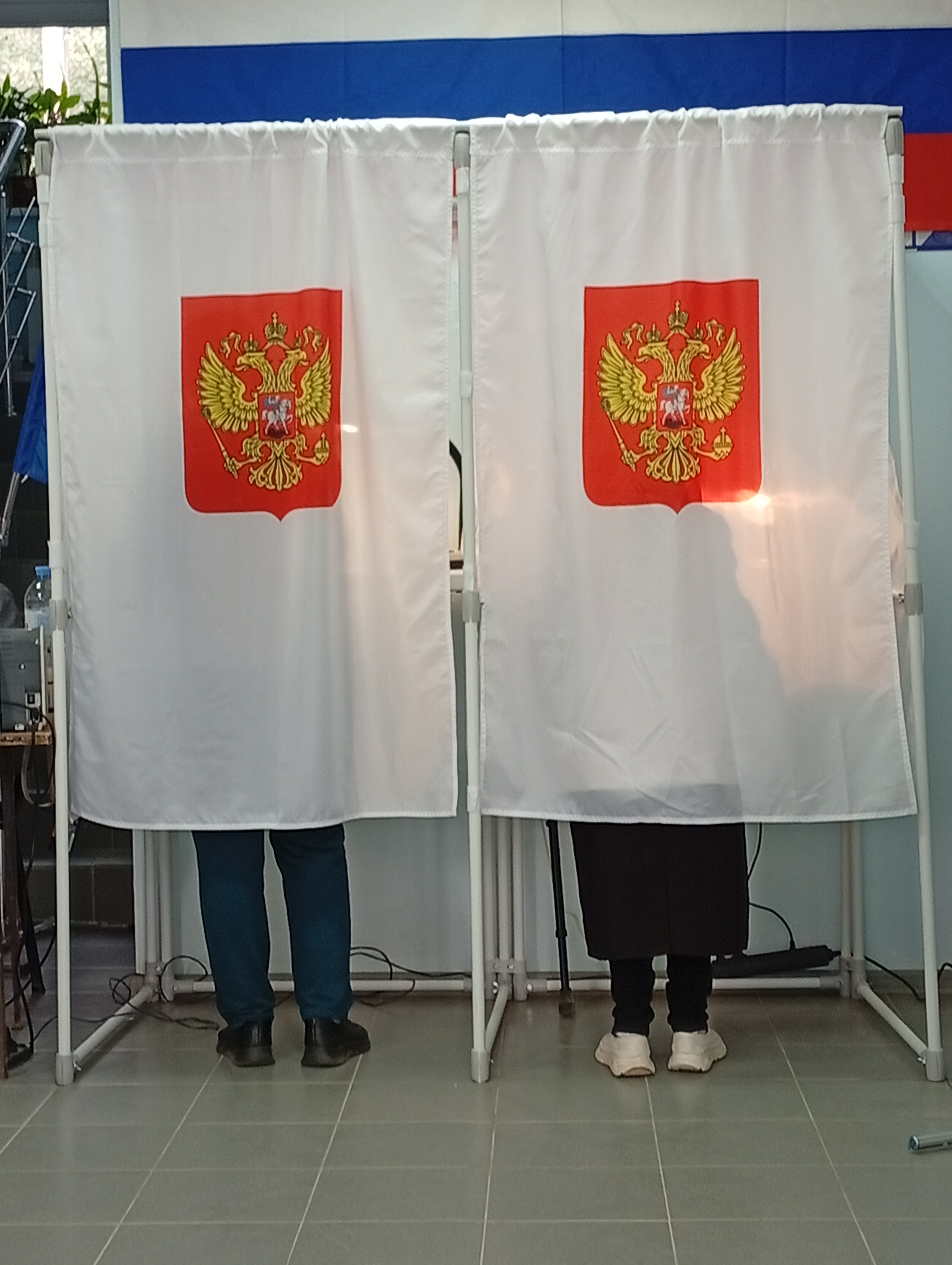 Сообщение наблюдателя — УИК №1313, Новгородская область