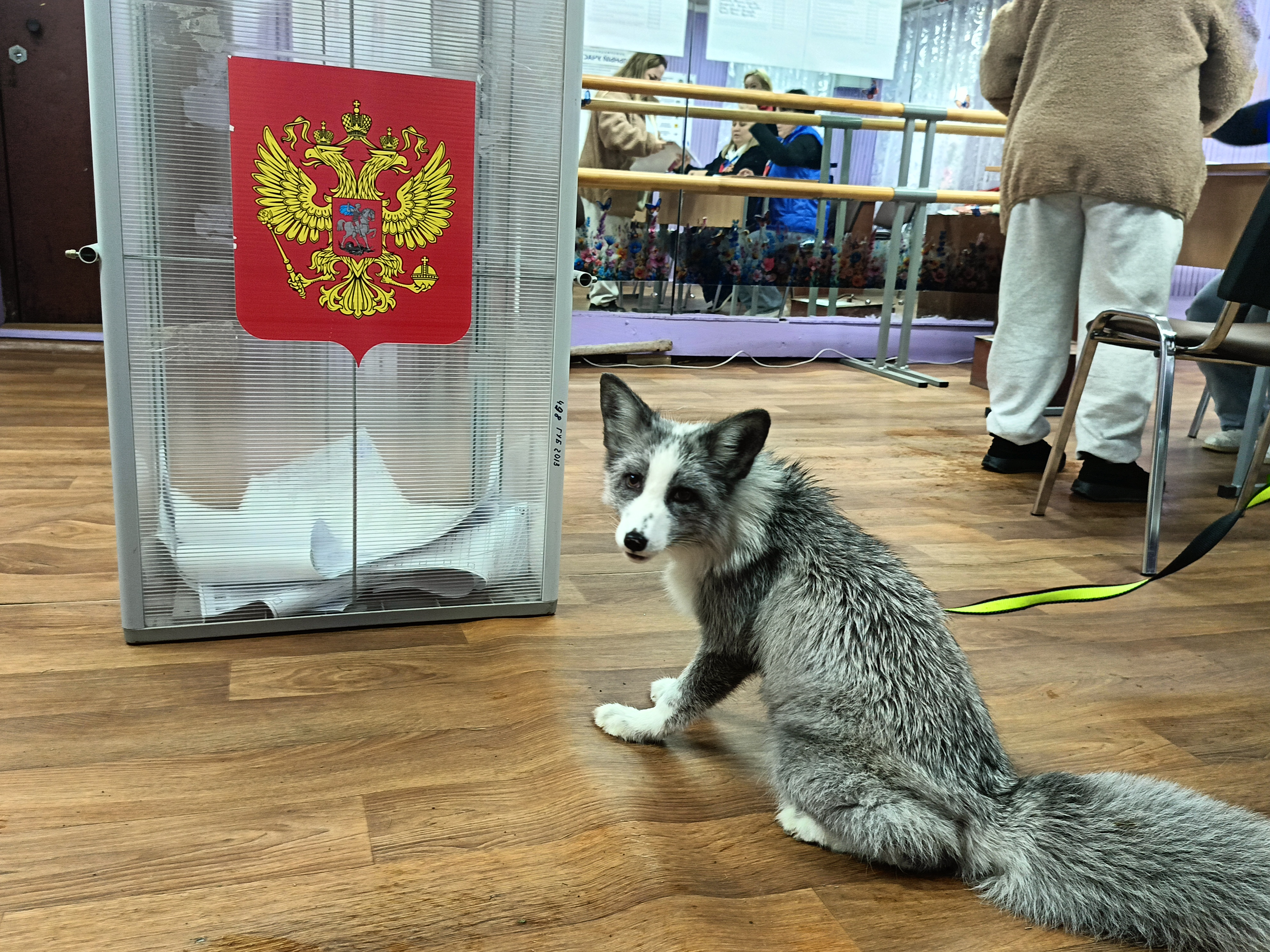 Сообщение — УИК №2276, Московская область