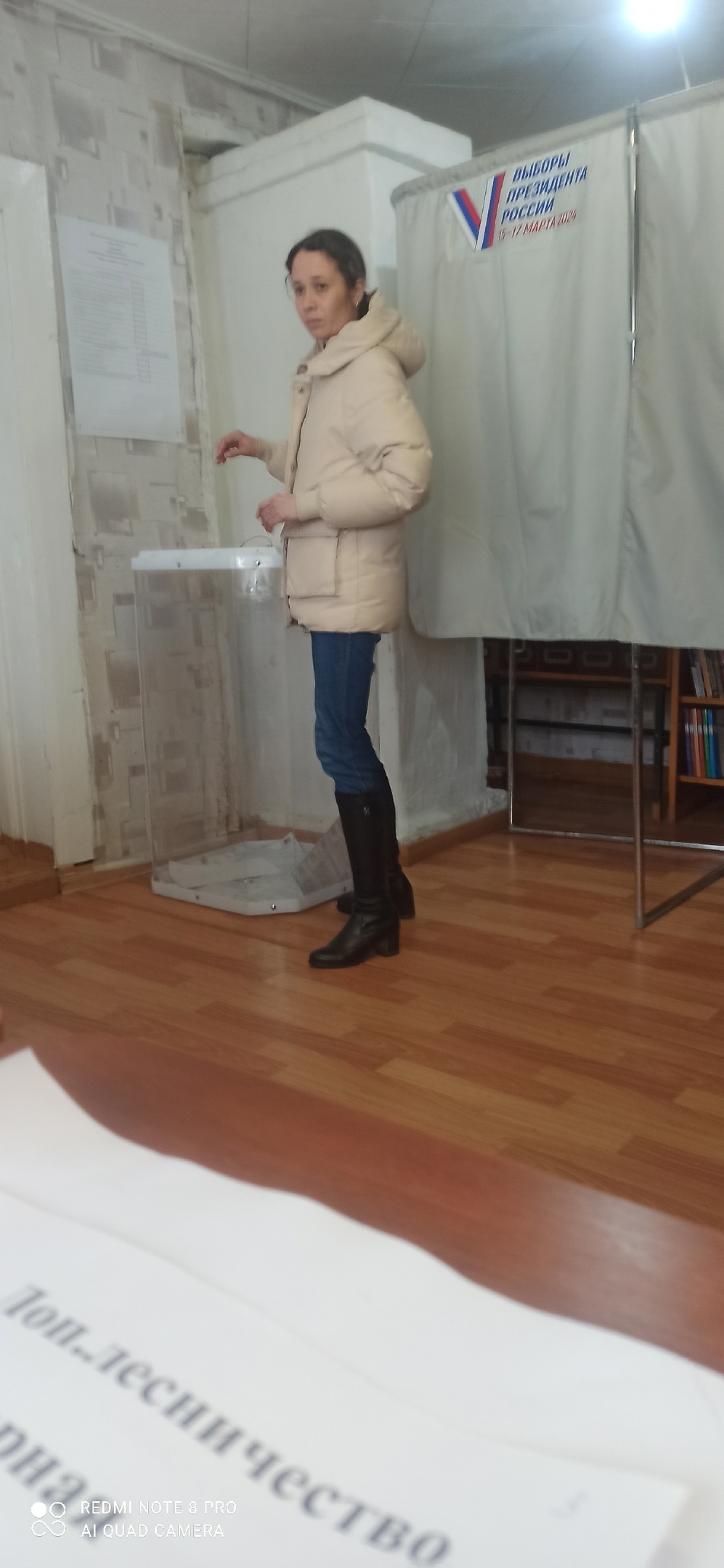 Сообщение наблюдателя — УИК №387, Пензенская область