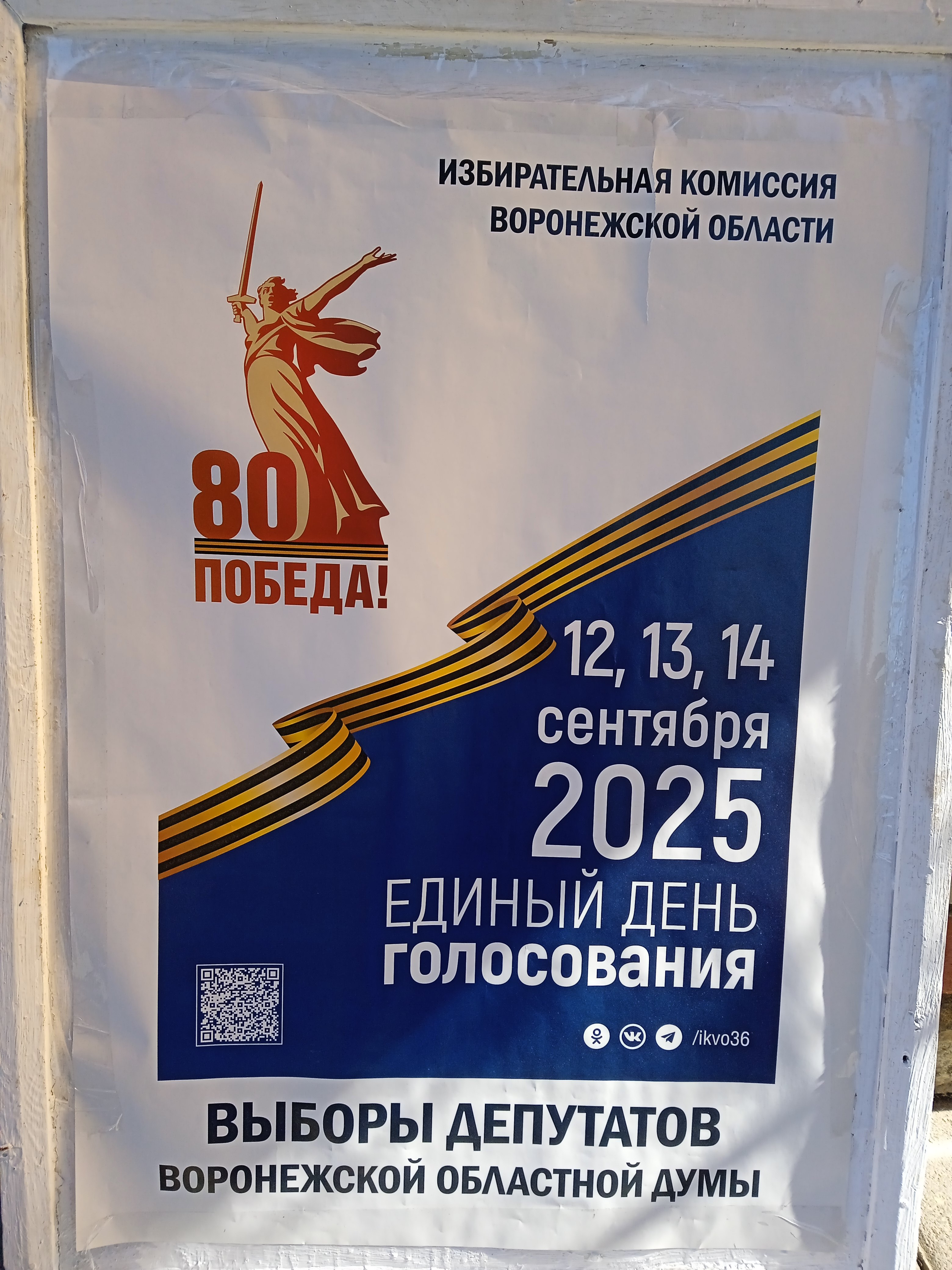 Сообщение наблюдателя — УИК №309, Воронежская область