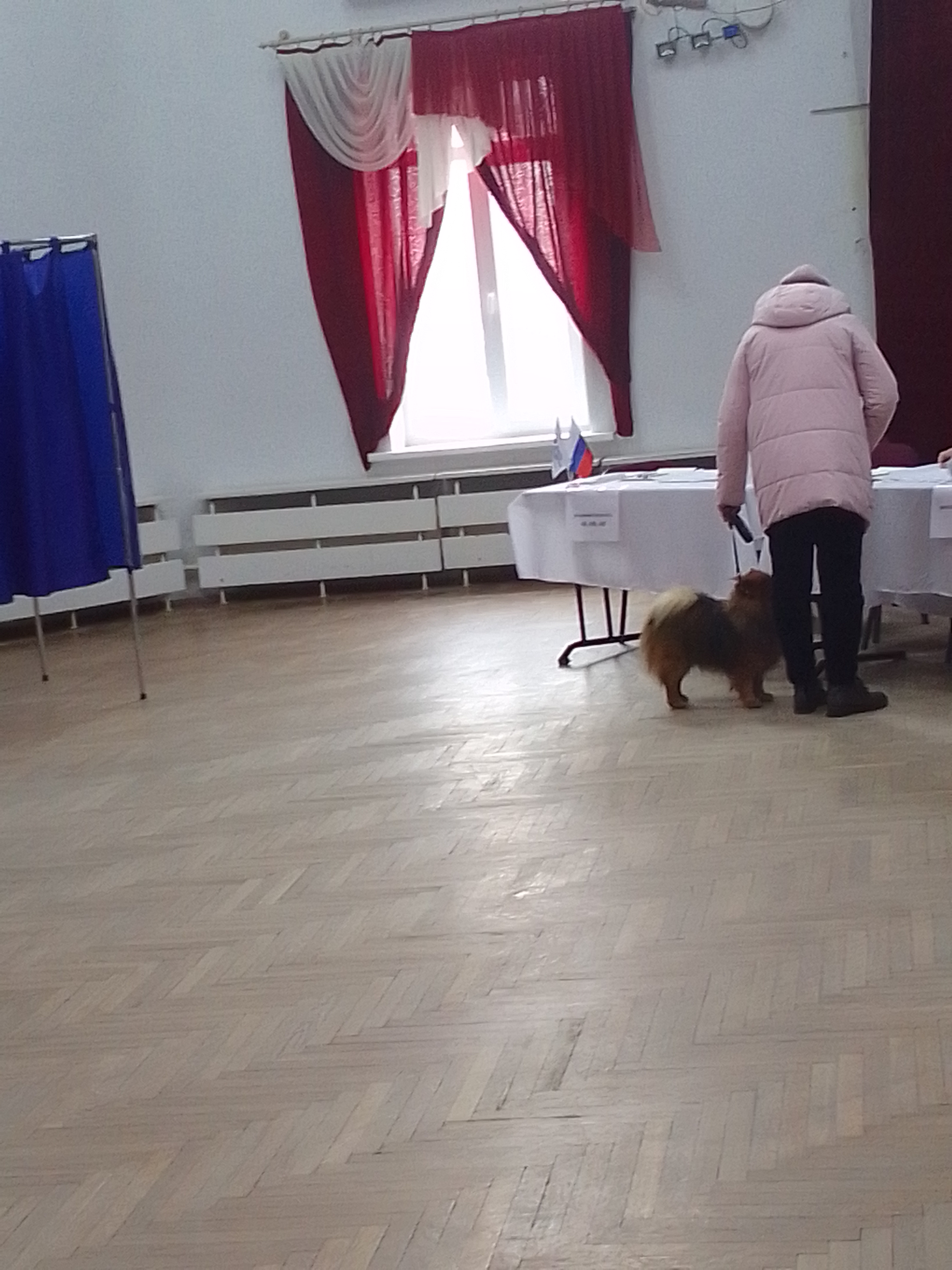 Сообщение наблюдателя — УИК №1092, Воронежская область