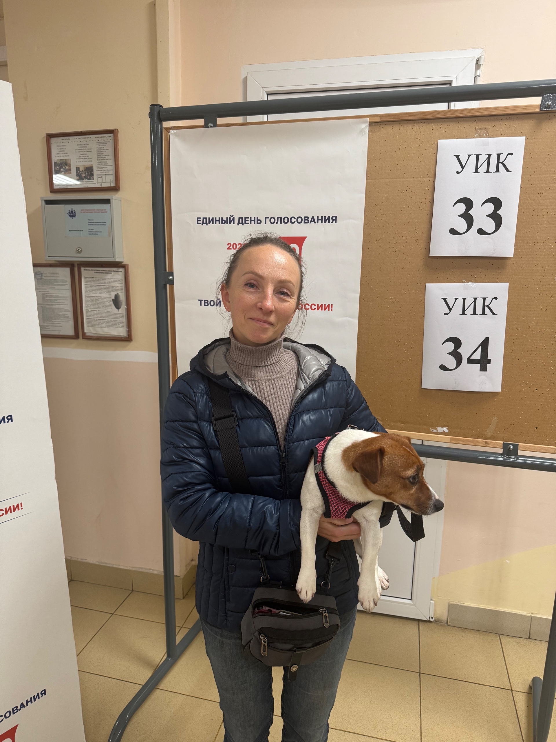 Сообщение — УИК №33, Санкт-Петербург