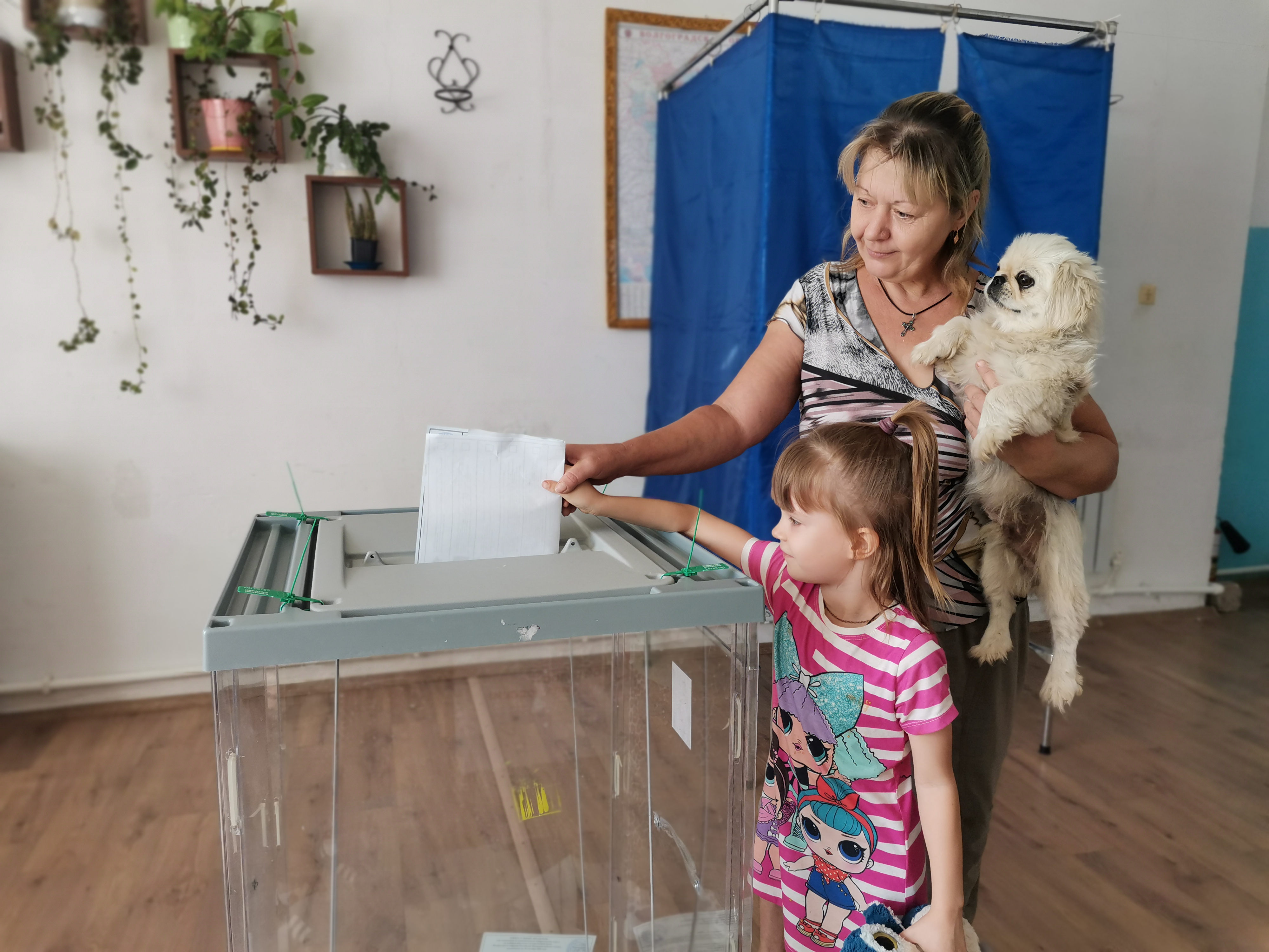 Сообщение — УИК №2230, Волгоградская область
