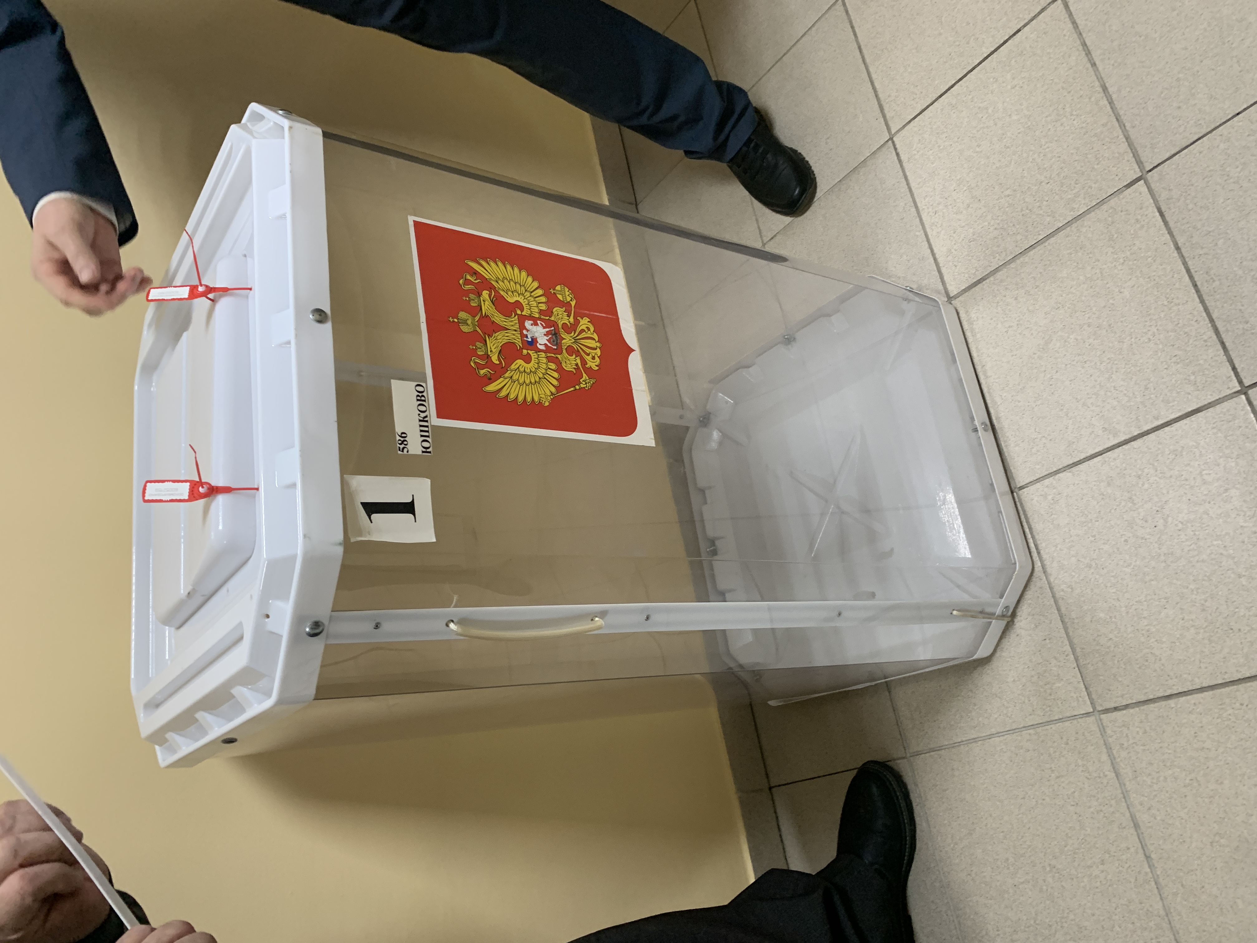 Сообщение наблюдателя — УИК №586, Белгородская область