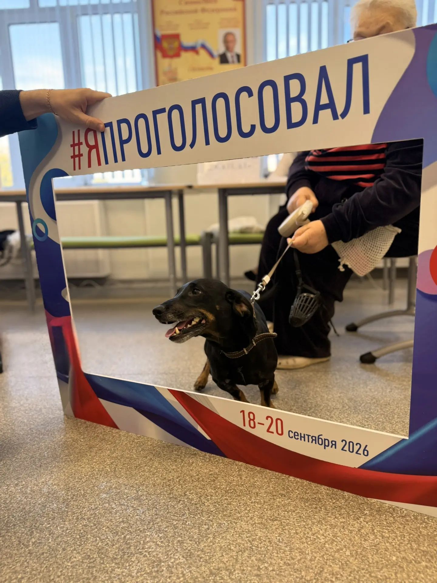 Сообщение — УИК №2107, Московская область