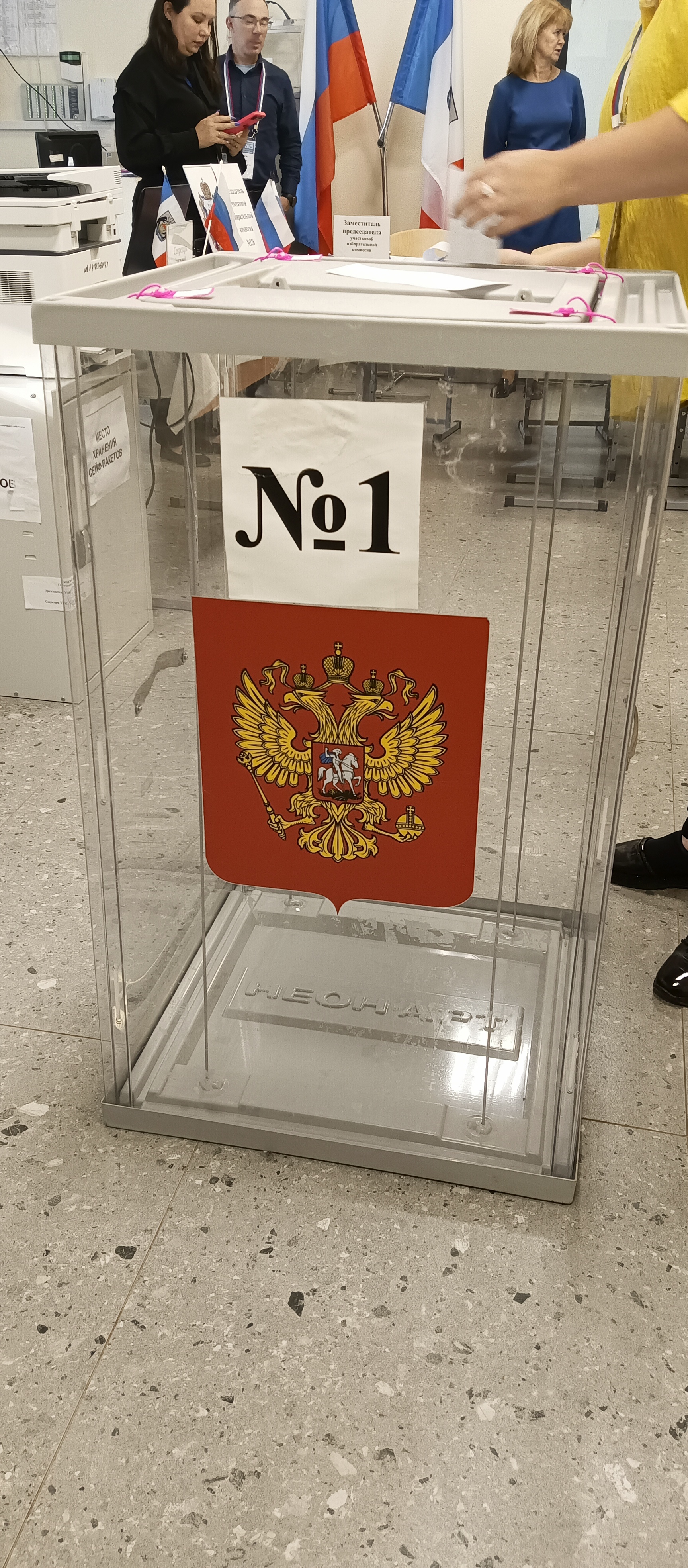 Сообщение наблюдателя — УИК №226, Новгородская область