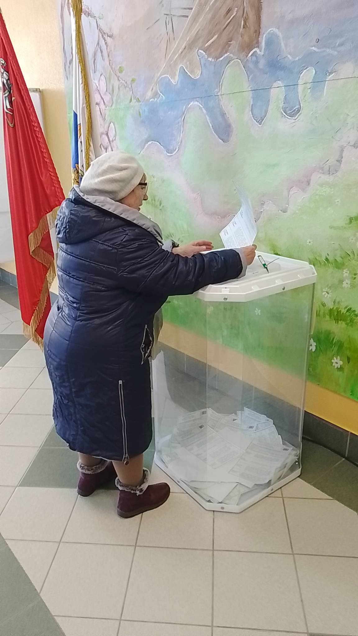 Сообщение наблюдателя — УИК №256, Московская область