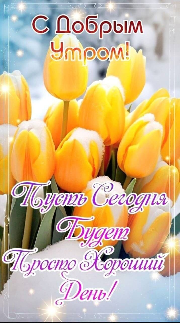Сообщение наблюдателя — УИК №772, Красноярский край