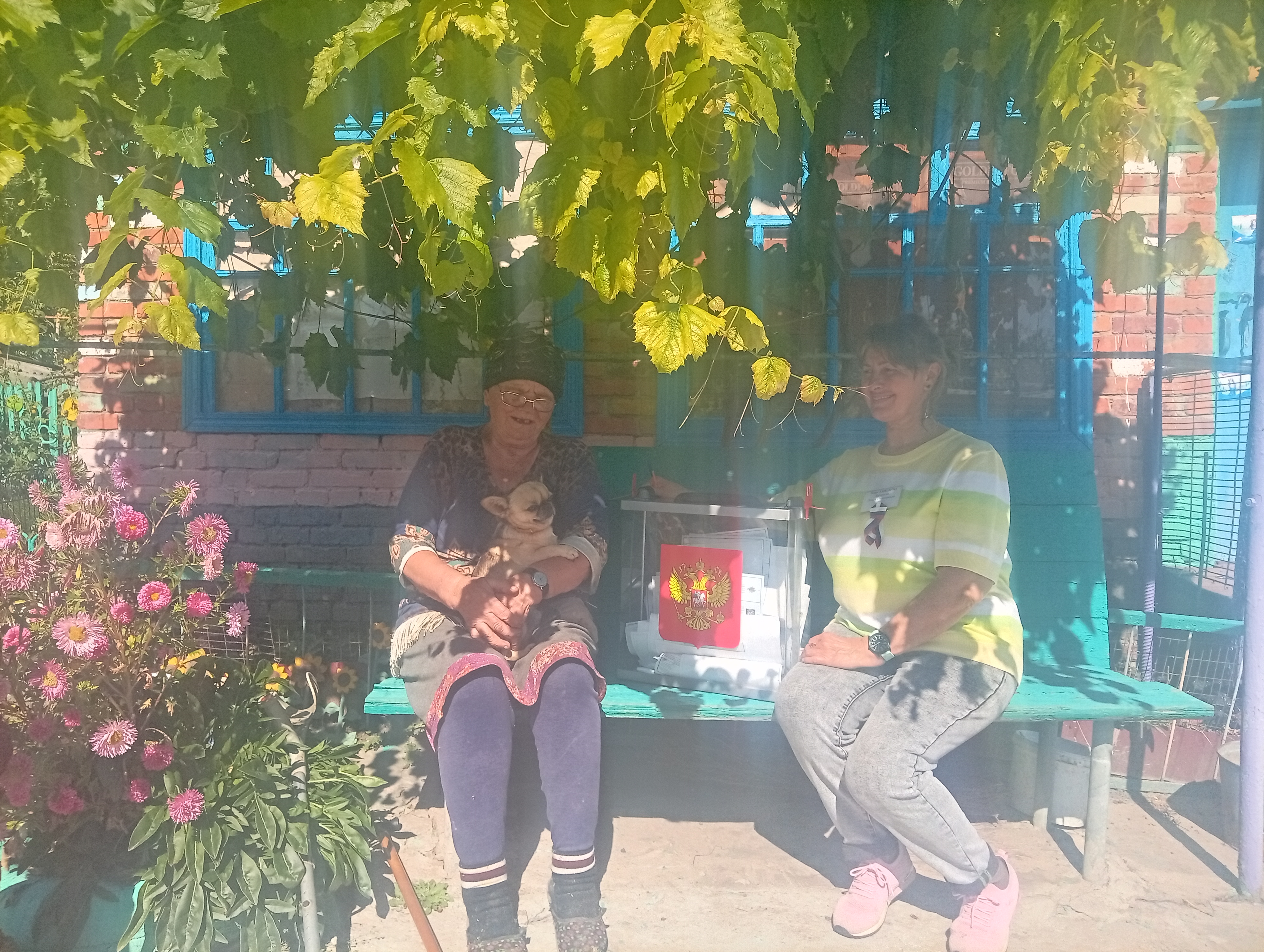 Сообщение — УИК №743, Белгородская область