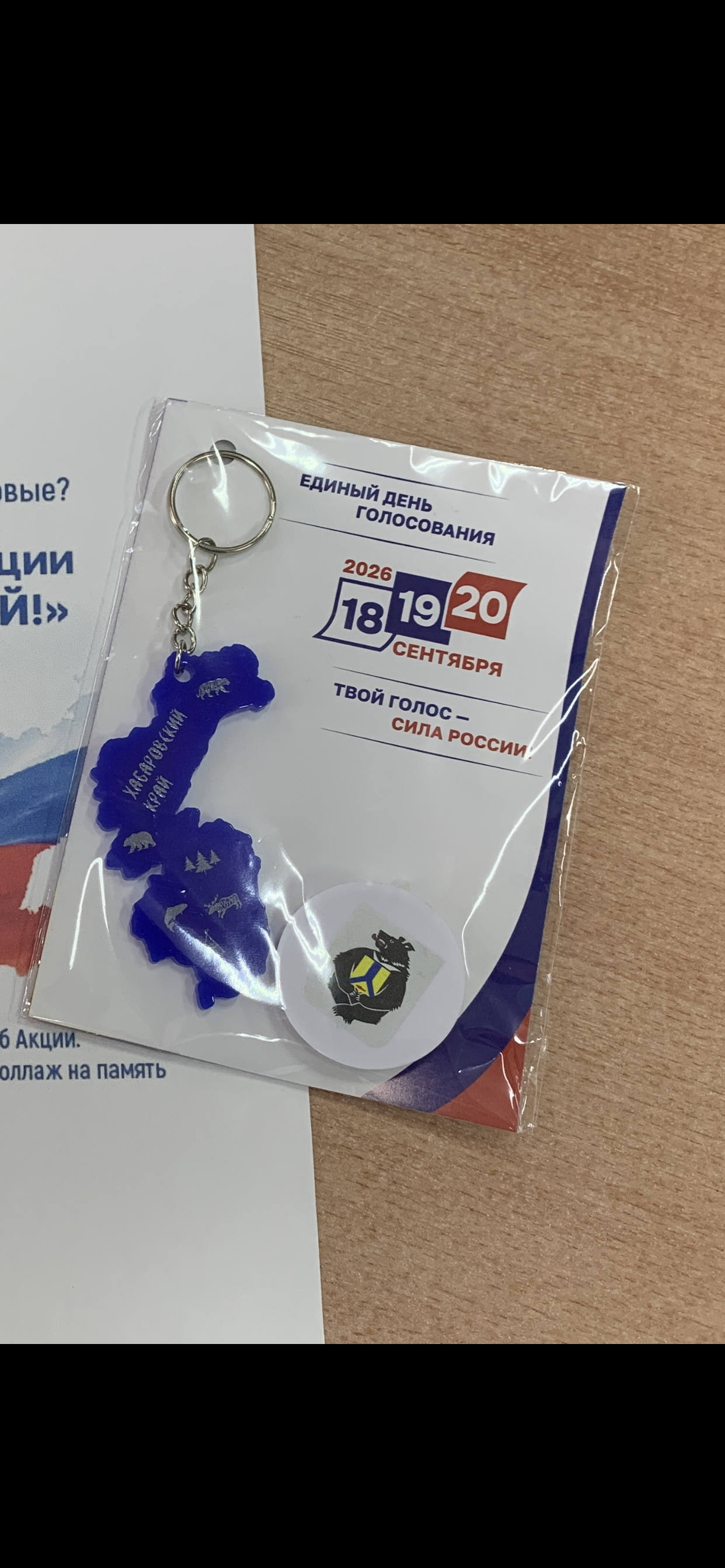 Сообщение — УИК №351, Хабаровский край