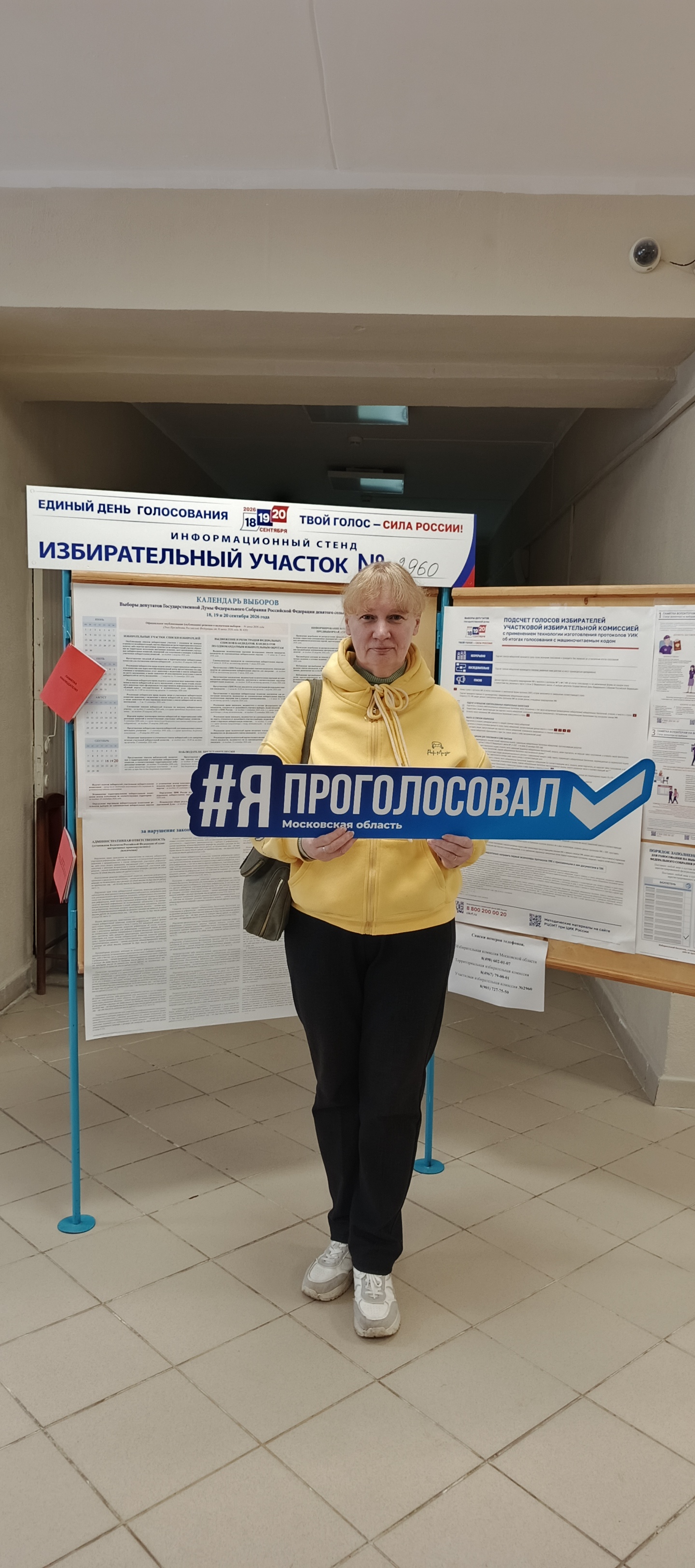 Сообщение — УИК №2960, Московская область