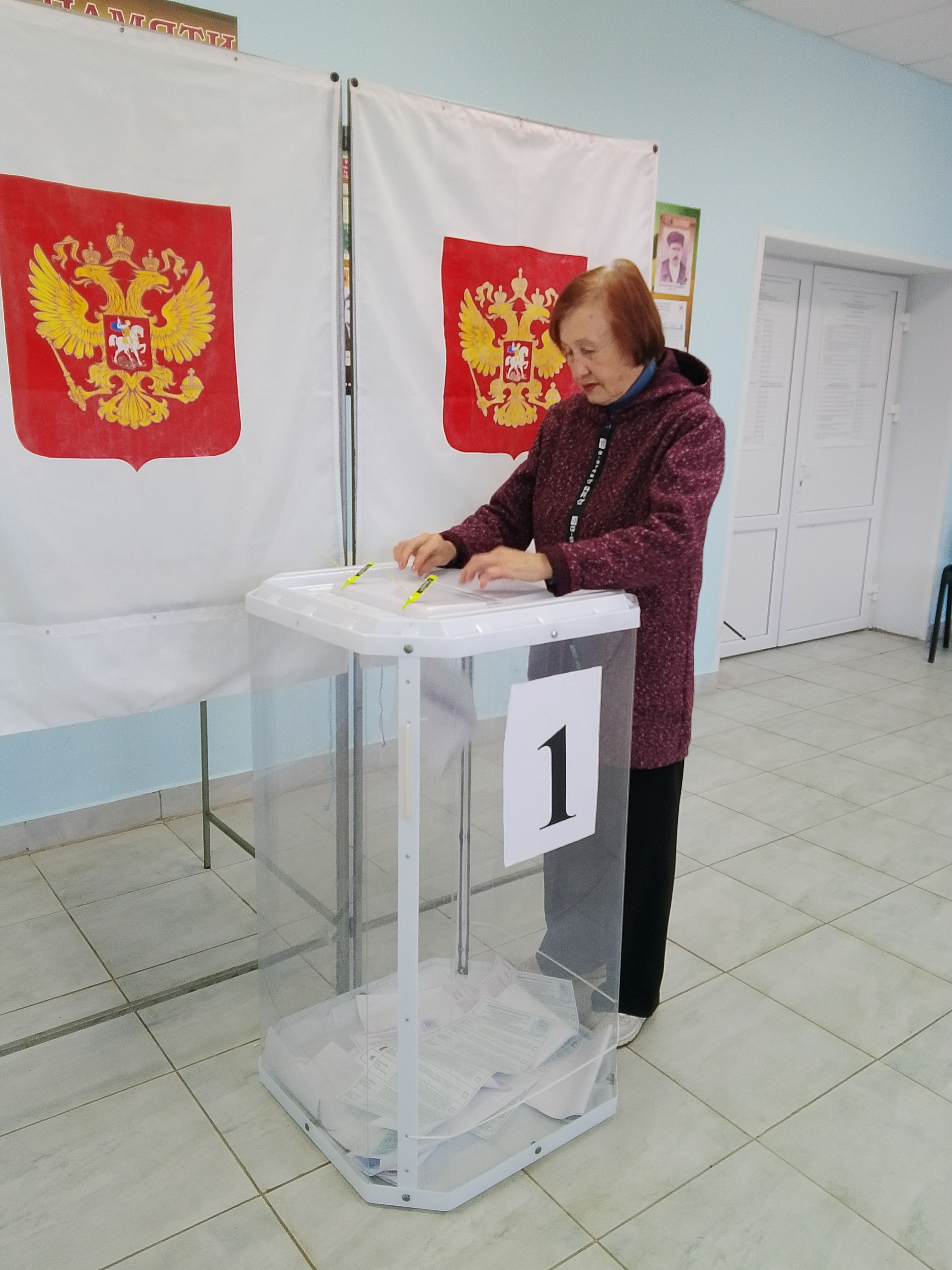 Сообщение — УИК №3015, Ульяновская область