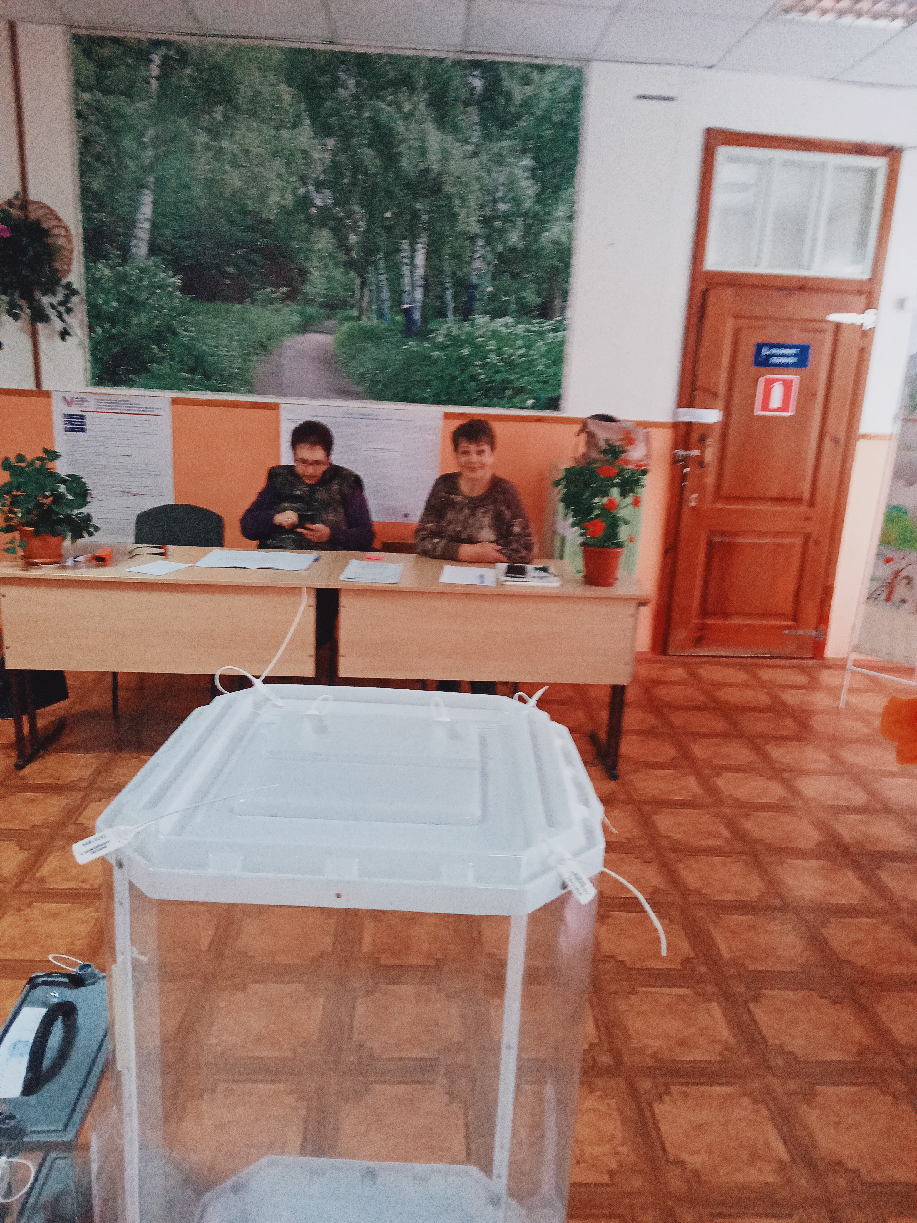 Сообщение наблюдателя — УИК №1254, Саратовская область