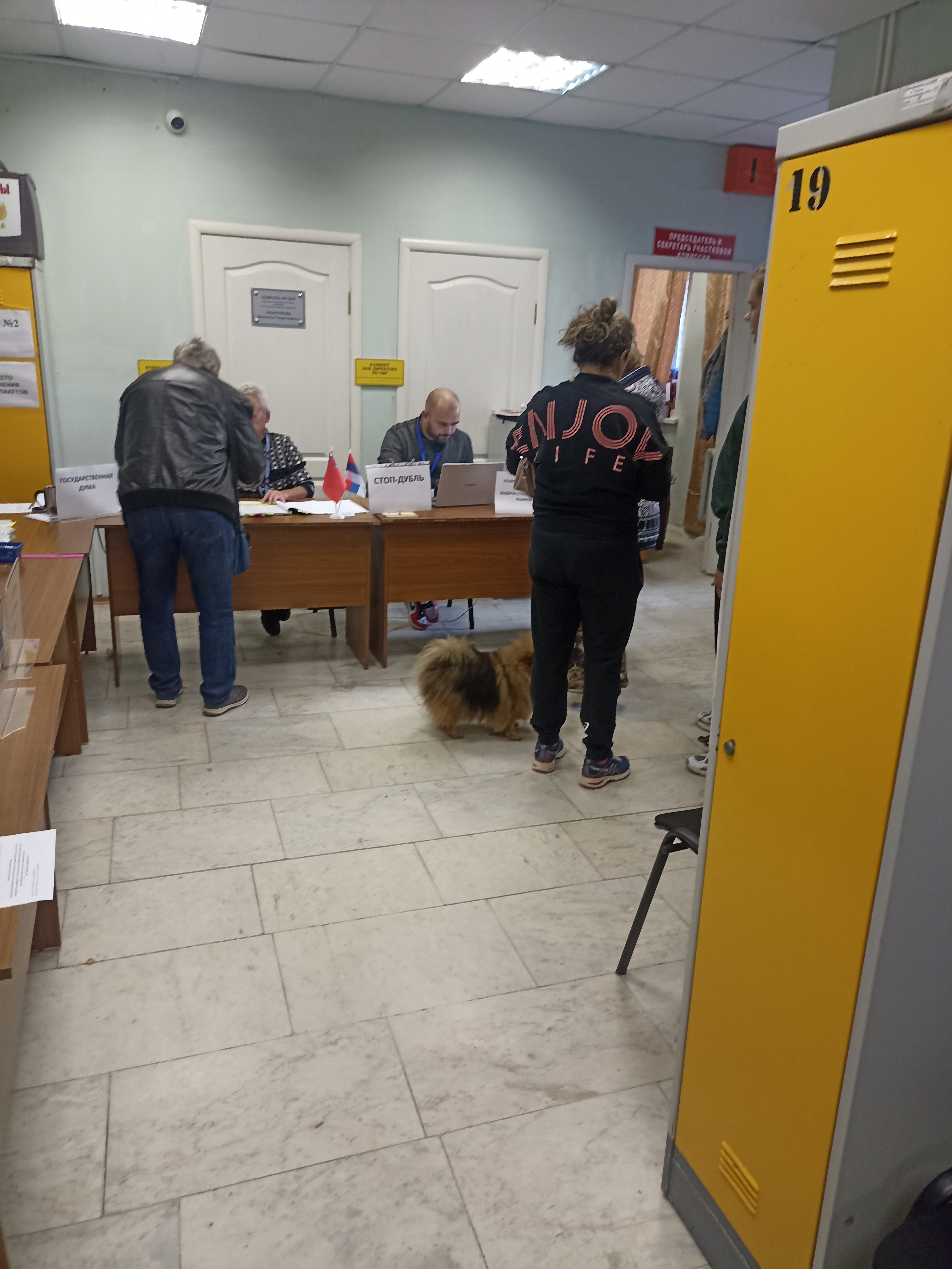 Сообщение — УИК №991, Московская область