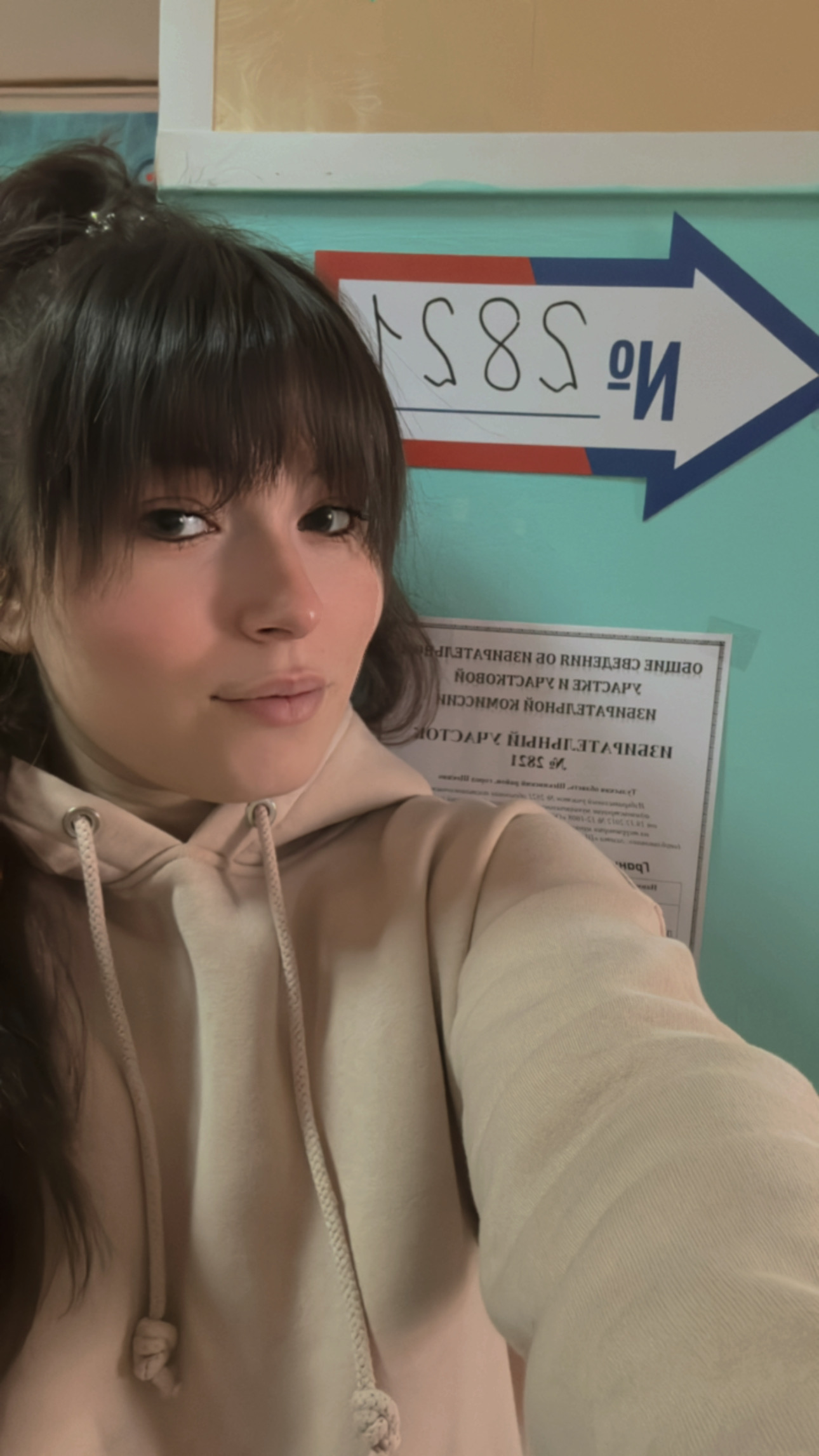 Сообщение наблюдателя — УИК №2821, Тульская область