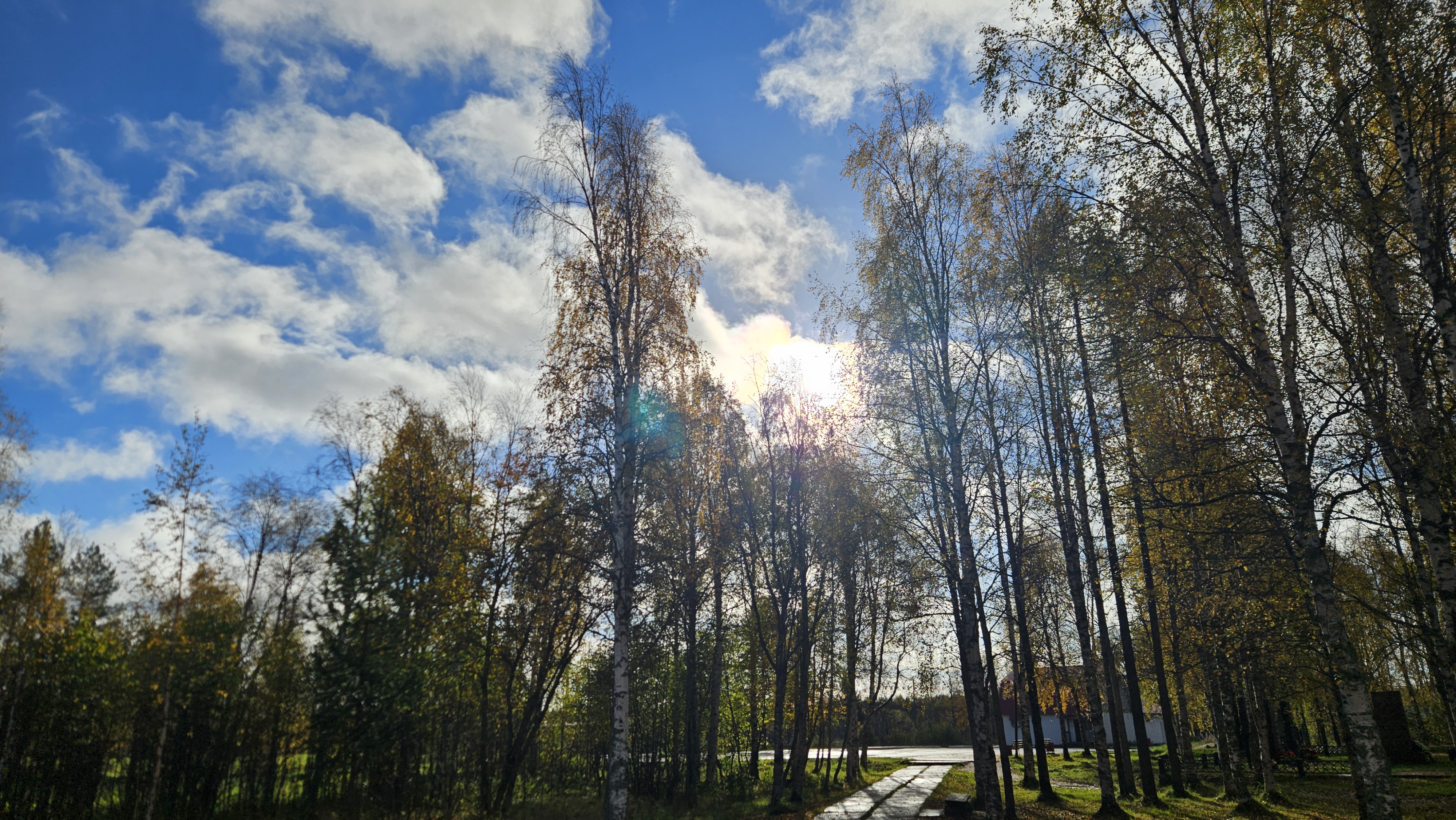 Сообщение — УИК №519, Архангельская область