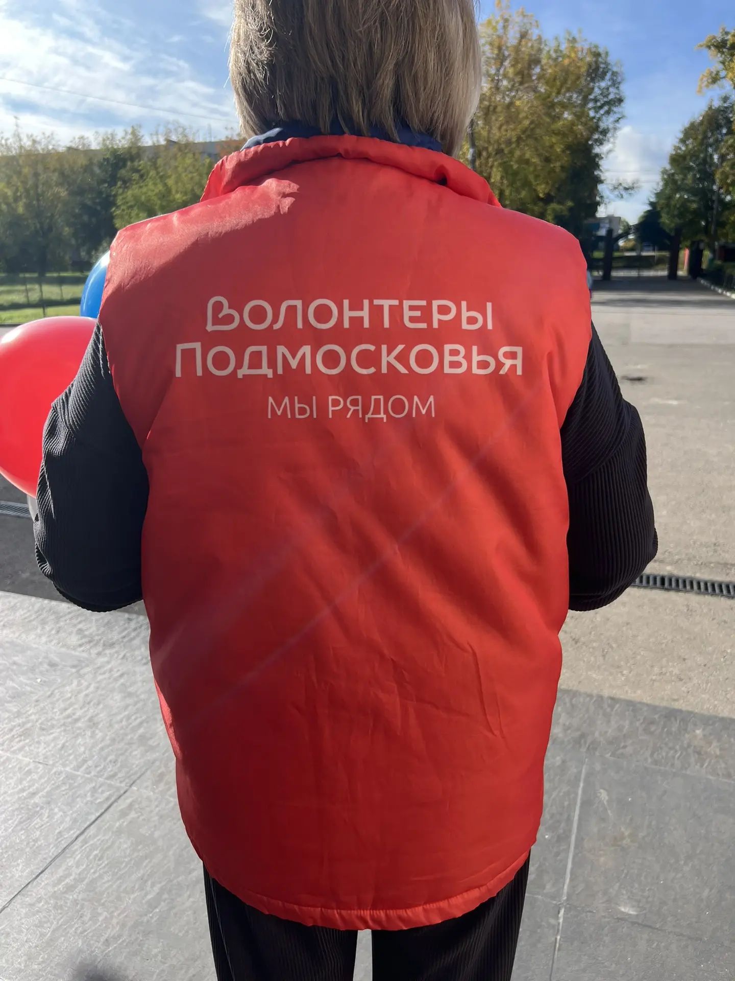 Сообщение — УИК №3094, Московская область
