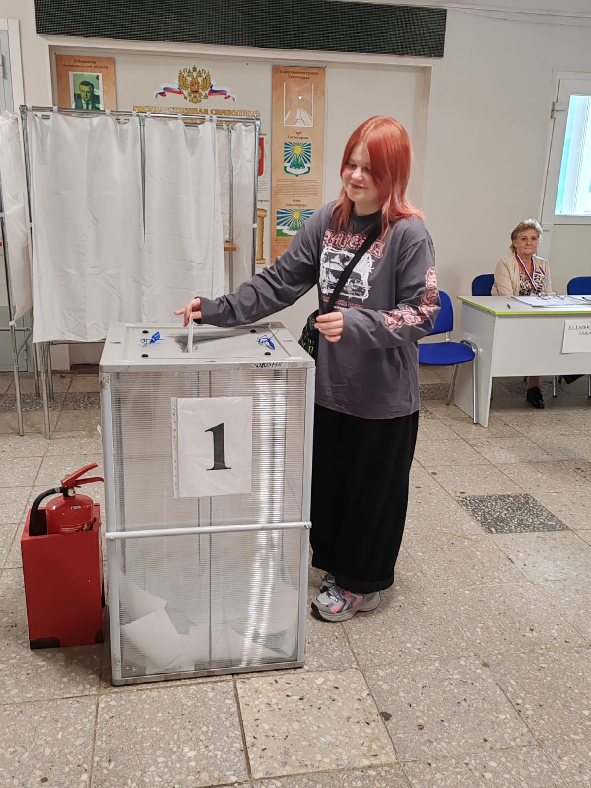 Сообщение наблюдателя — УИК №284, Ленинградская область