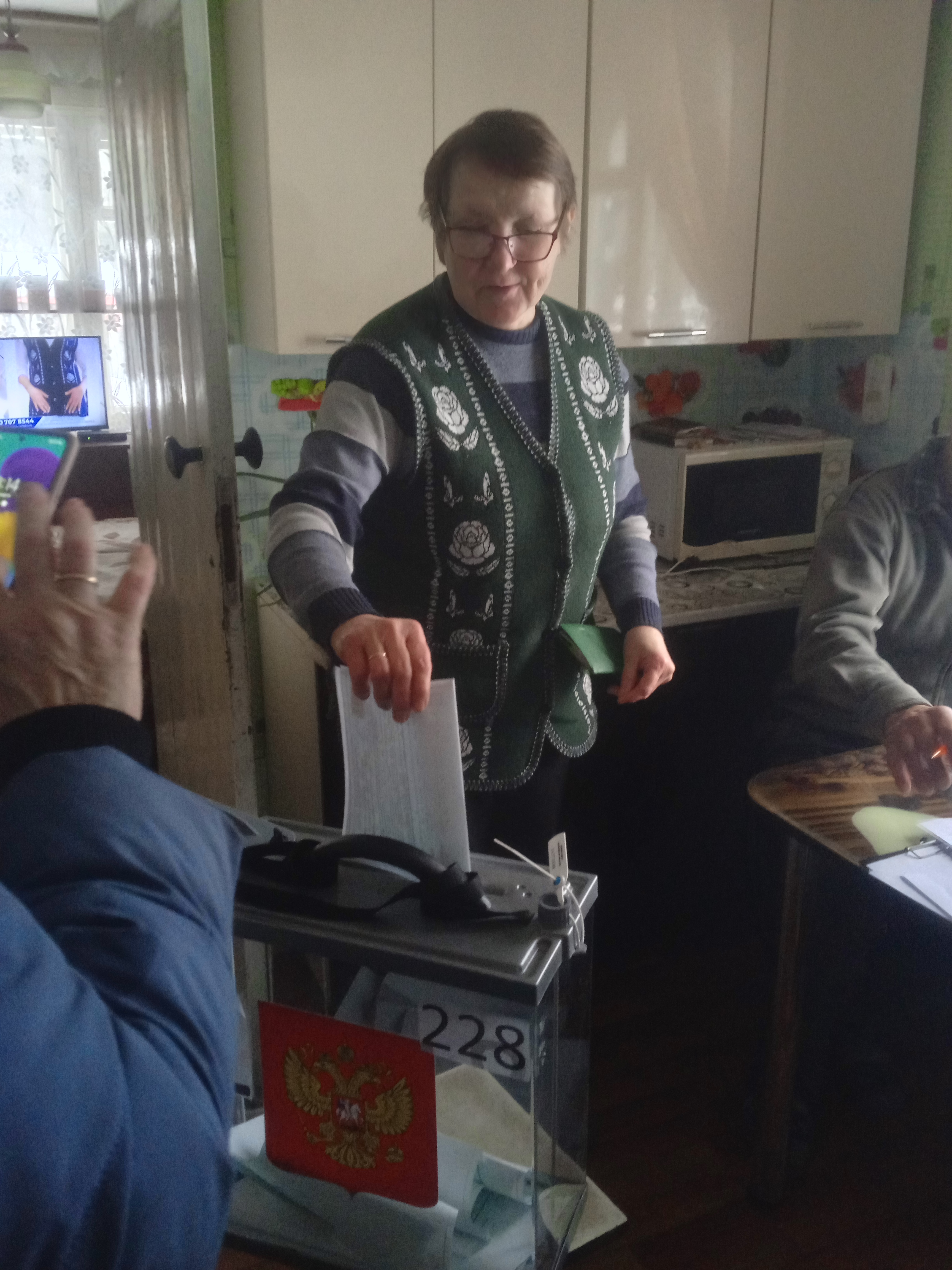 Сообщение наблюдателя — УИК №228, Архангельская область