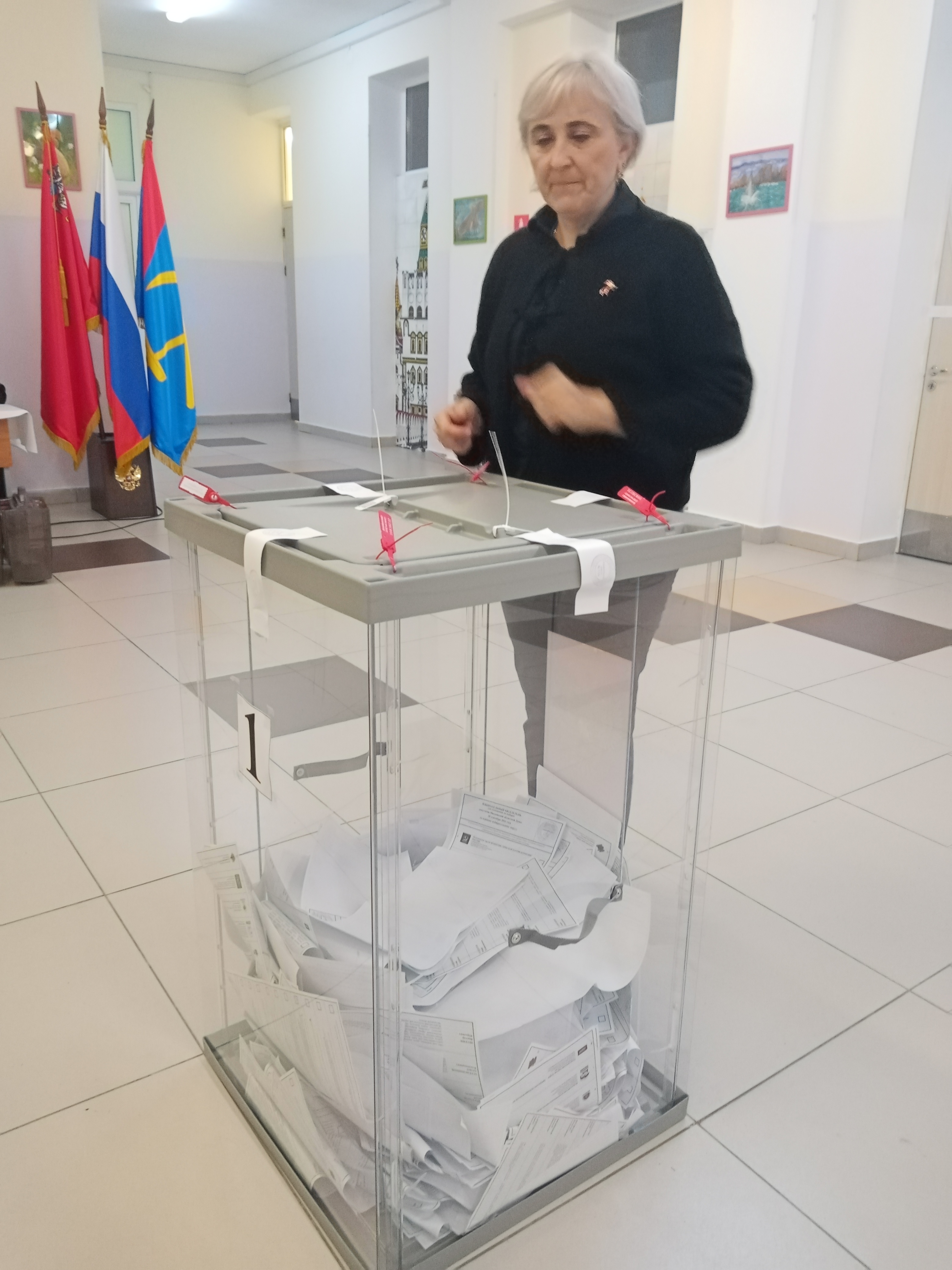 Сообщение — УИК №1129, Московская область