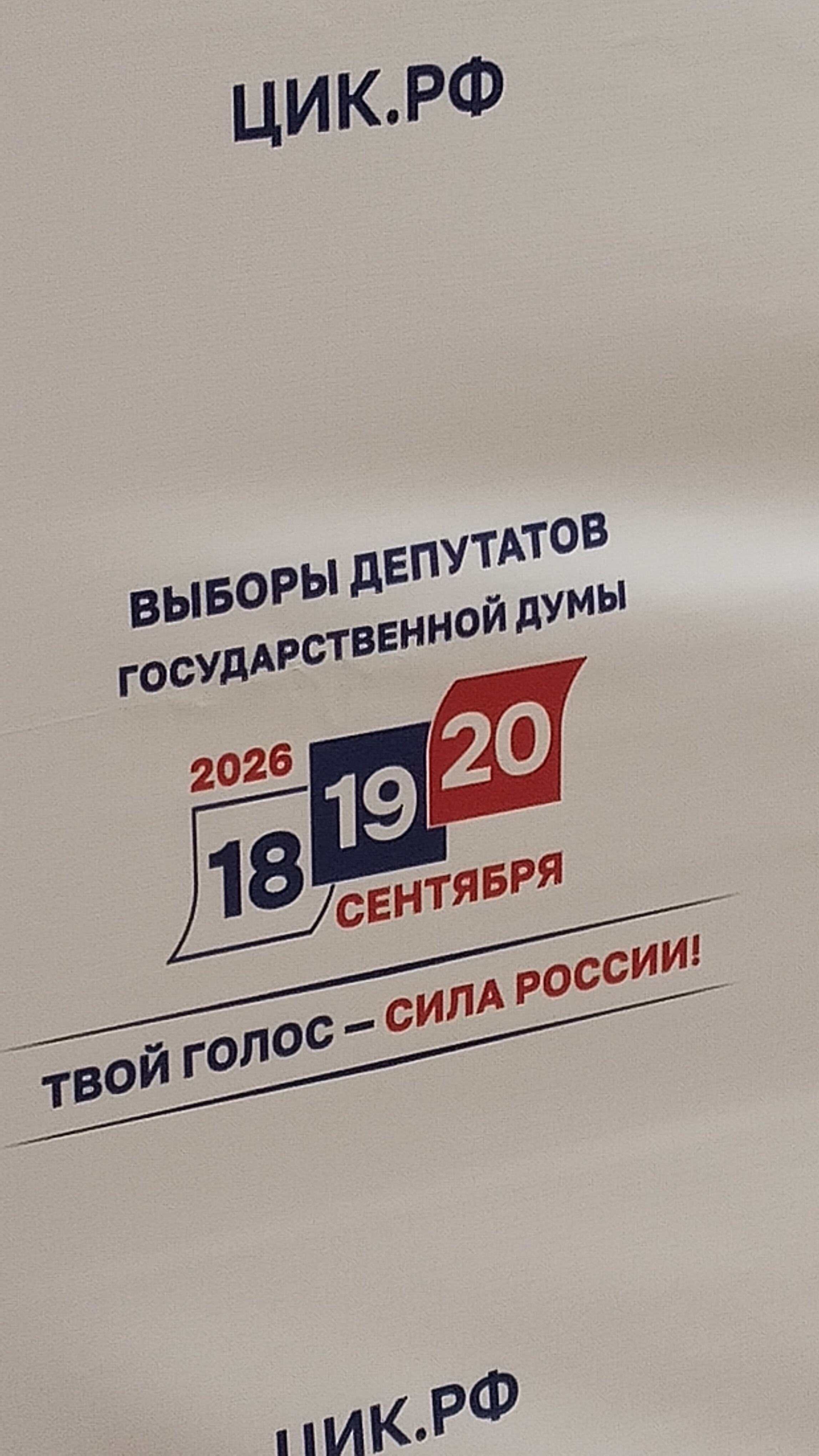 Сообщение — УИК №138, Мурманская область