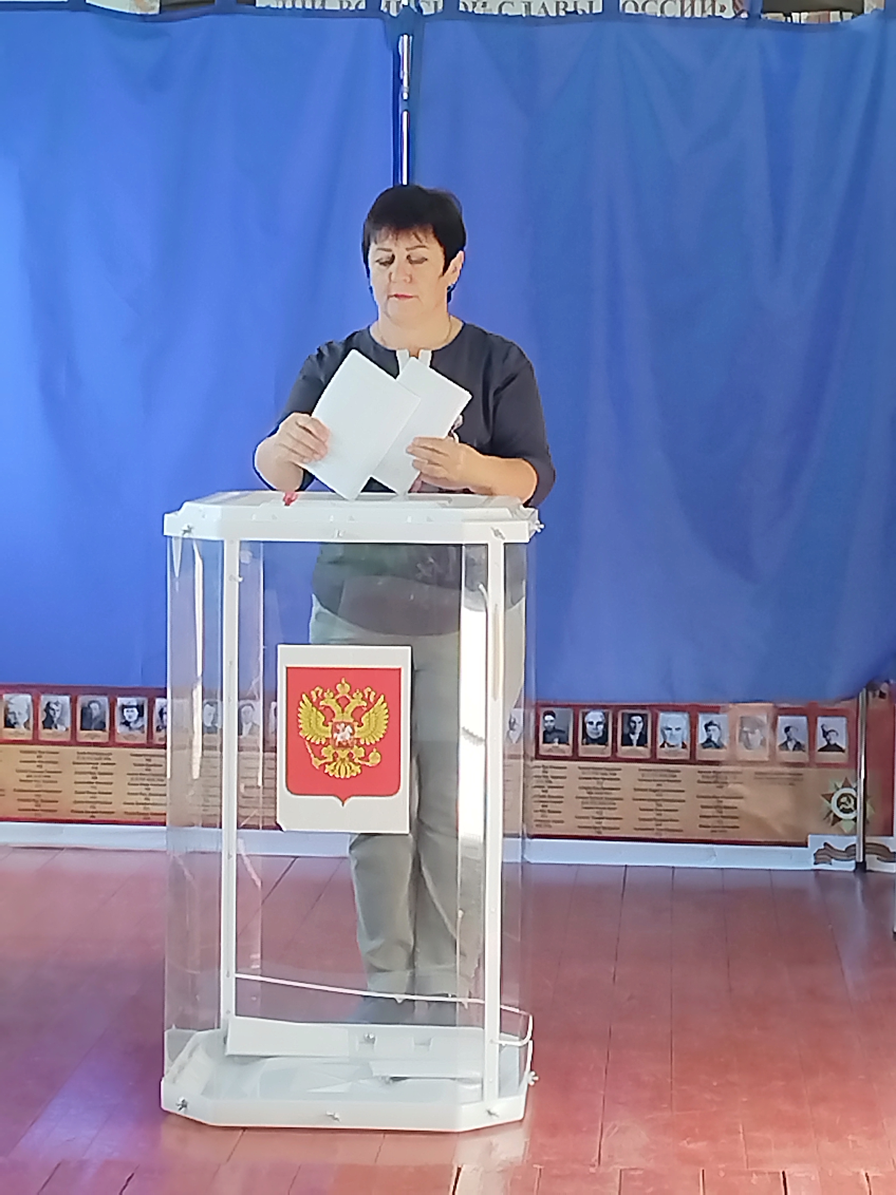 Сообщение — УИК №809, Воронежская область