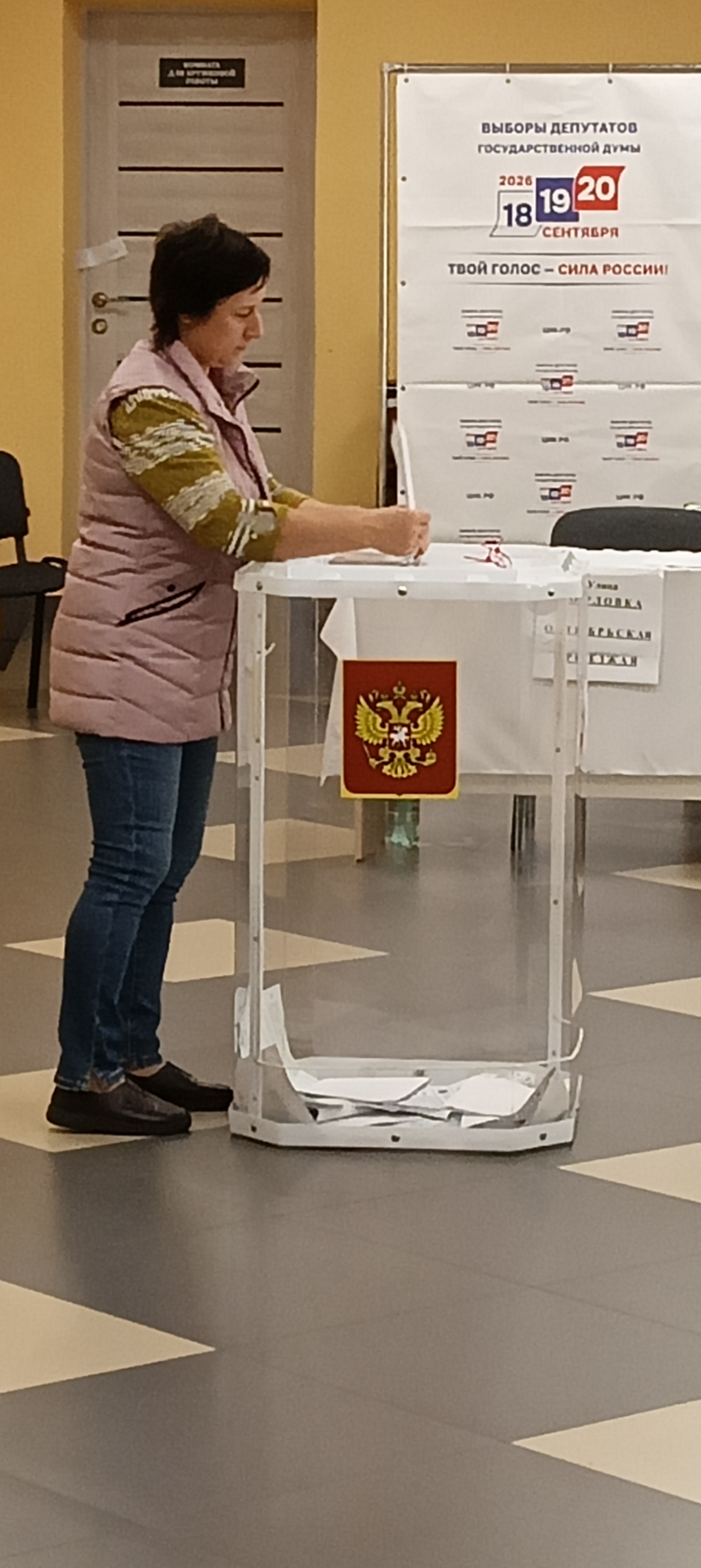 Сообщение — УИК №3706, Воронежская область
