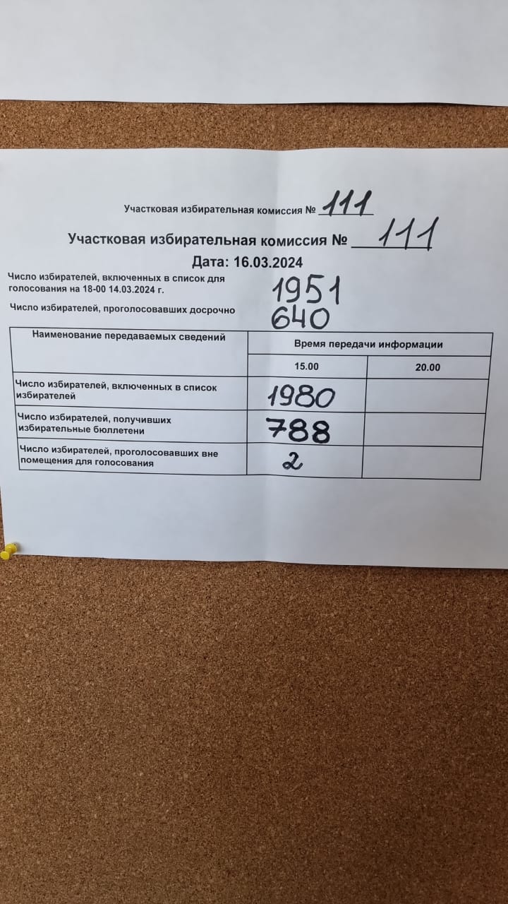 Сообщение наблюдателя — УИК №111, Сахалинская область