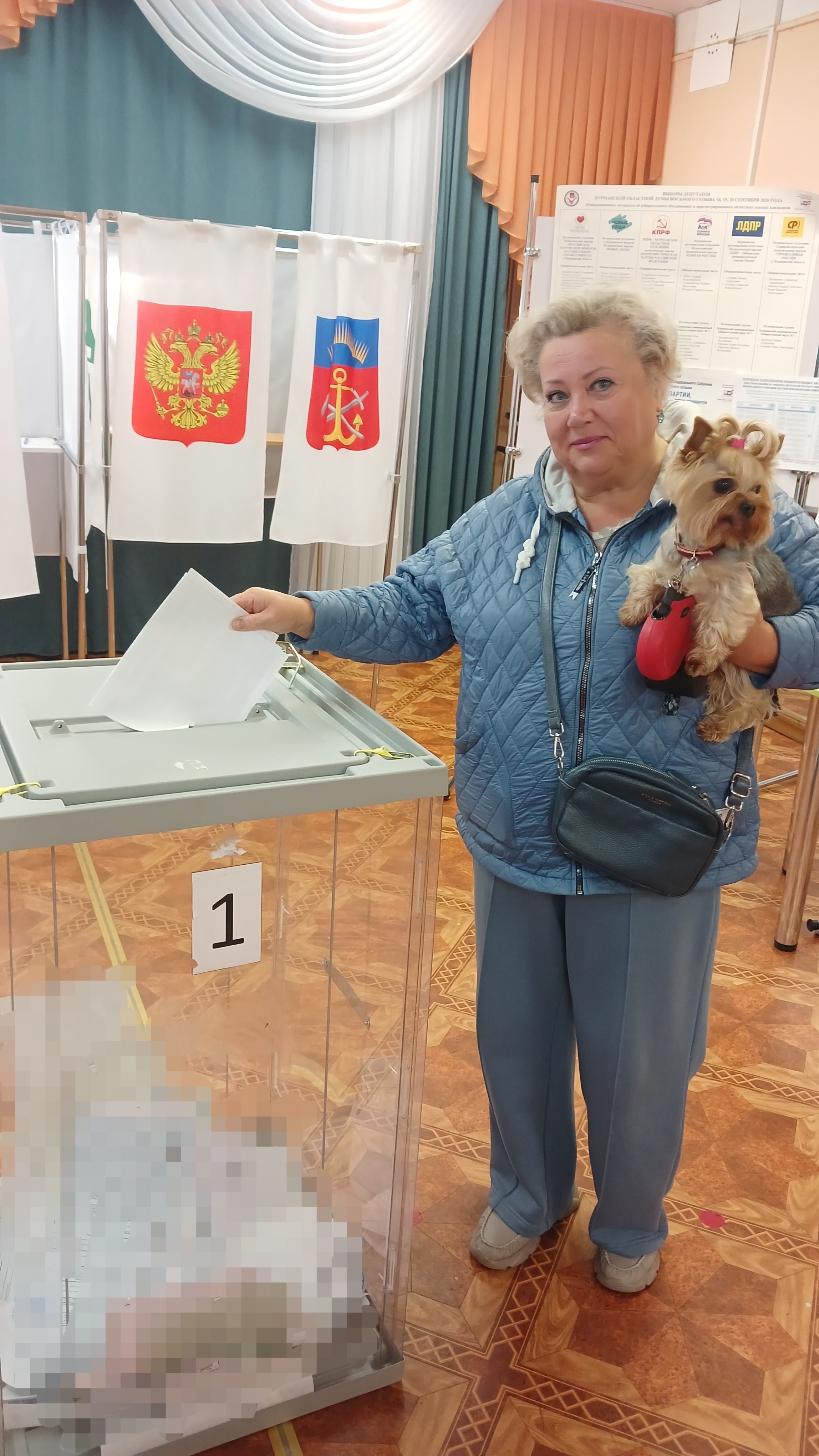 Сообщение — УИК №68, Мурманская область