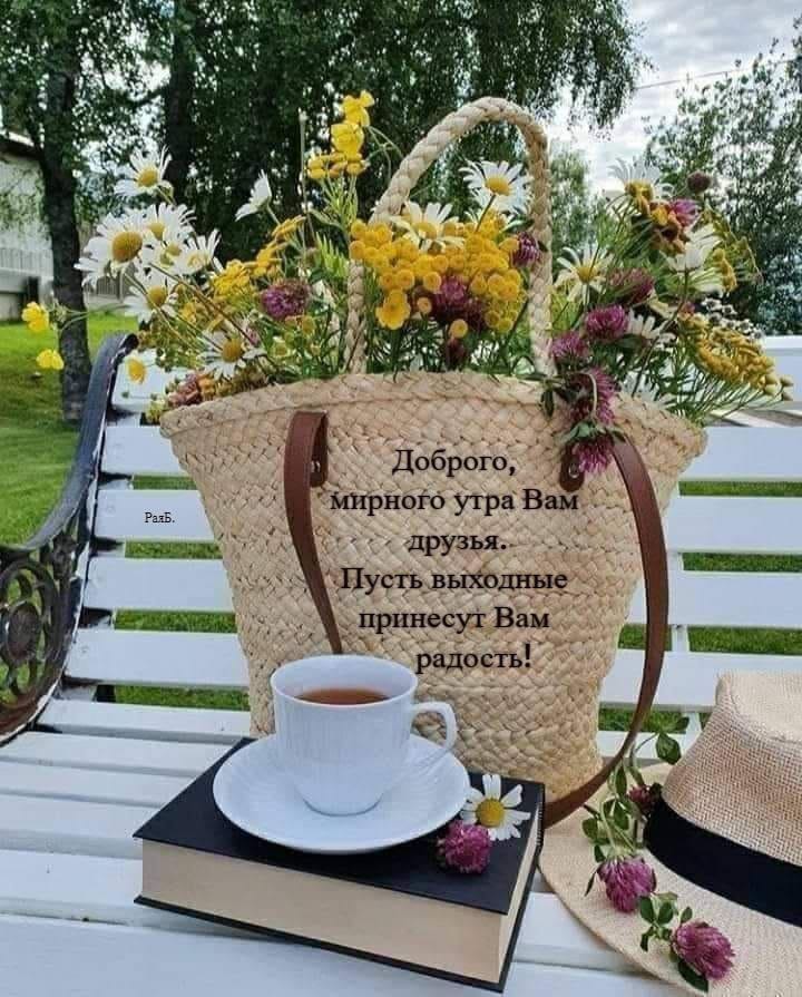 Сообщение наблюдателя — УИК №793, Тамбовская область