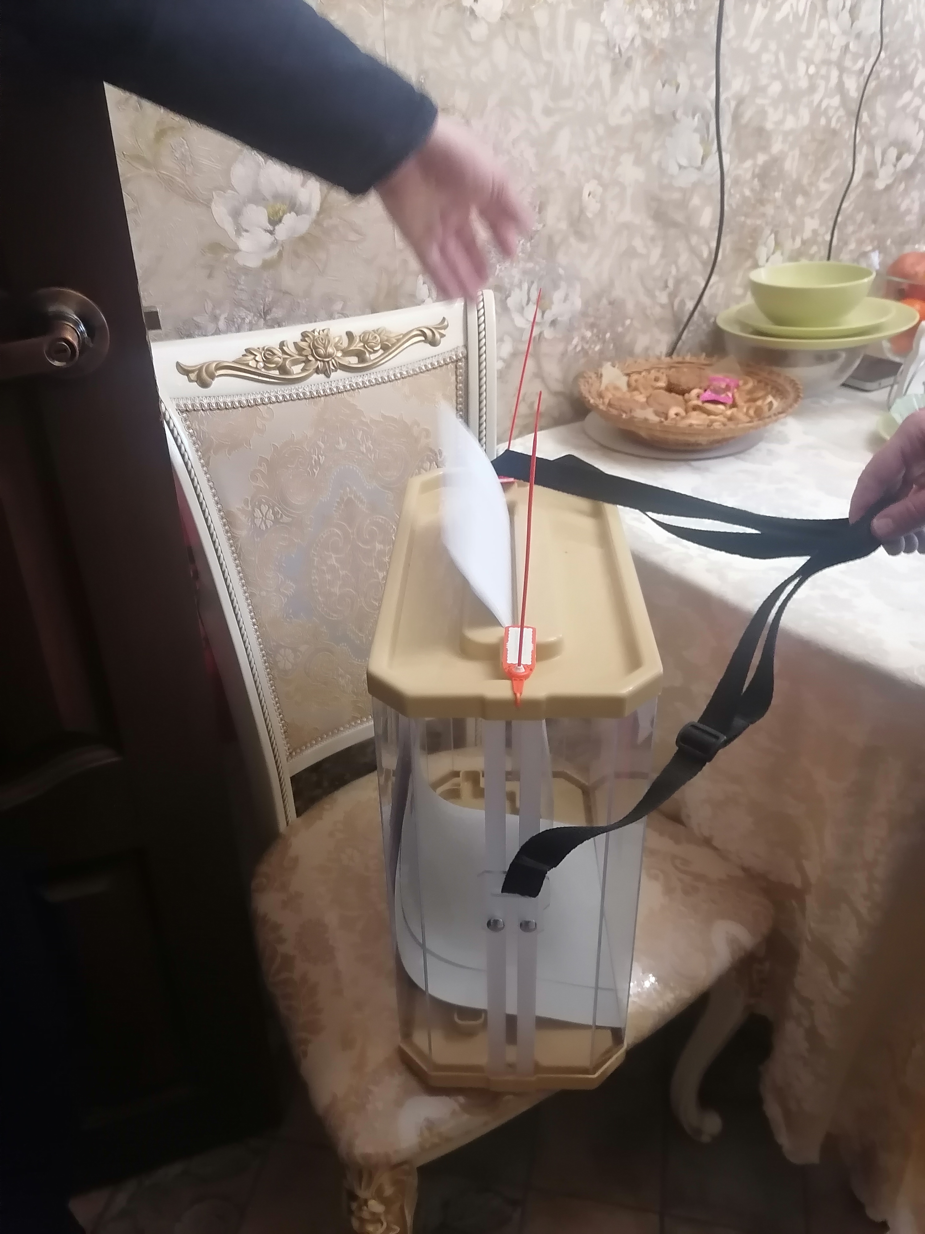 Сообщение наблюдателя — УИК №162, Белгородская область