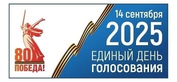 Сообщение наблюдателя — УИК №2029, Липецкая область